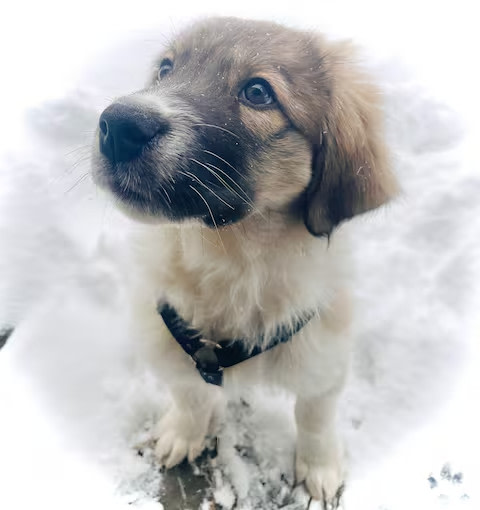 Basecamp Ranch in Bragg Creek