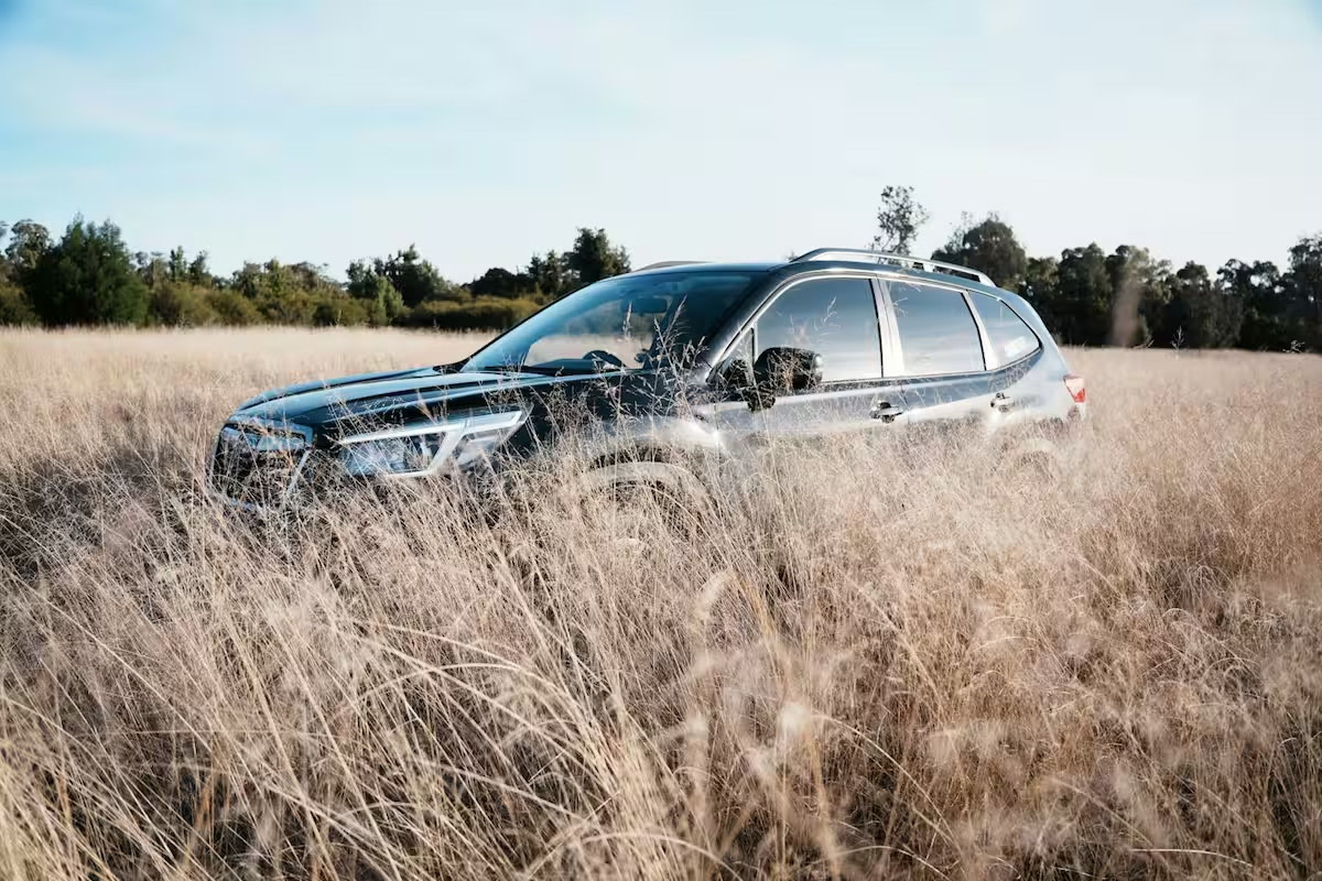 Roseneath Holiday Park
