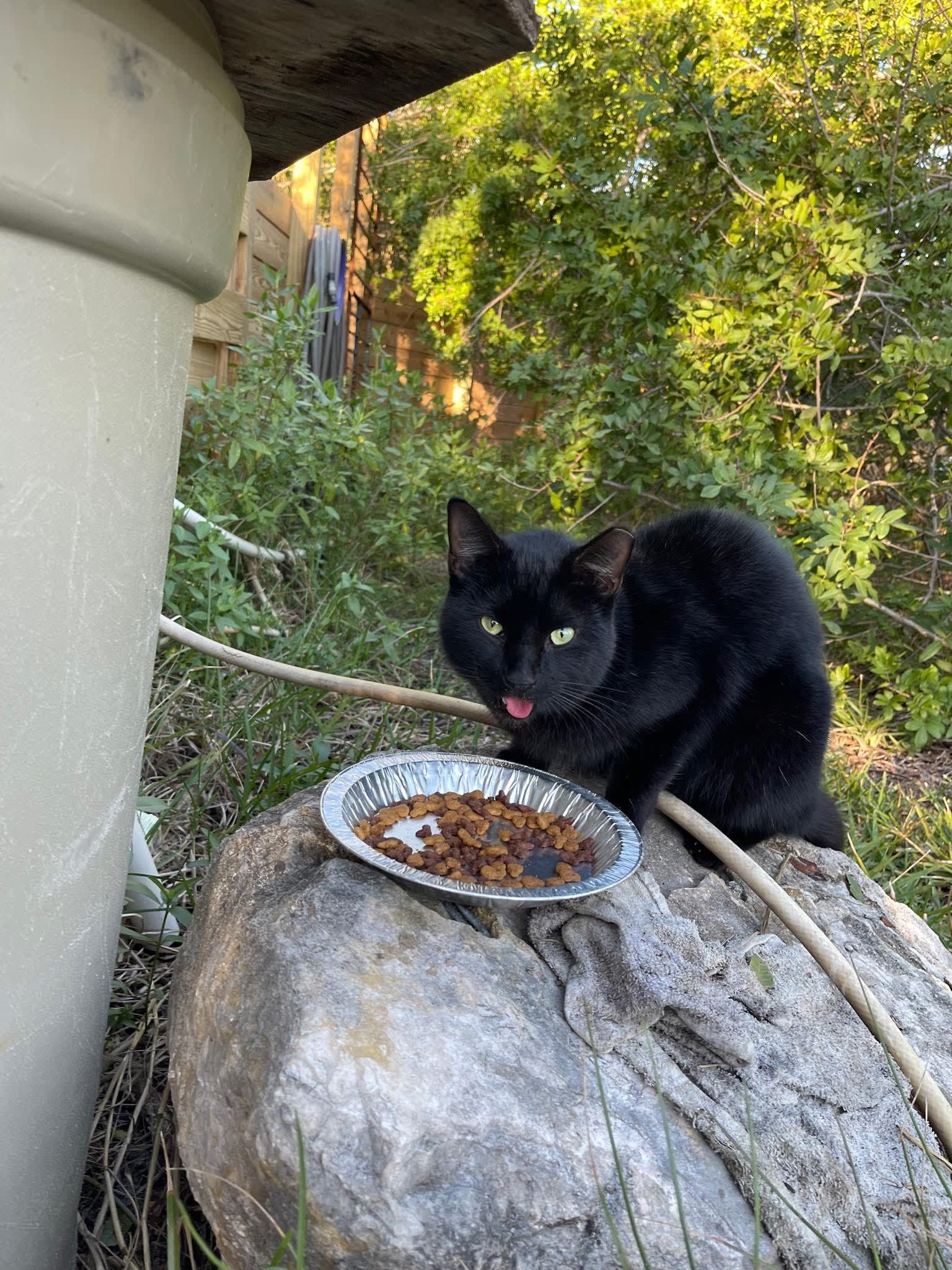 Peace and Harmony with a Gulf View