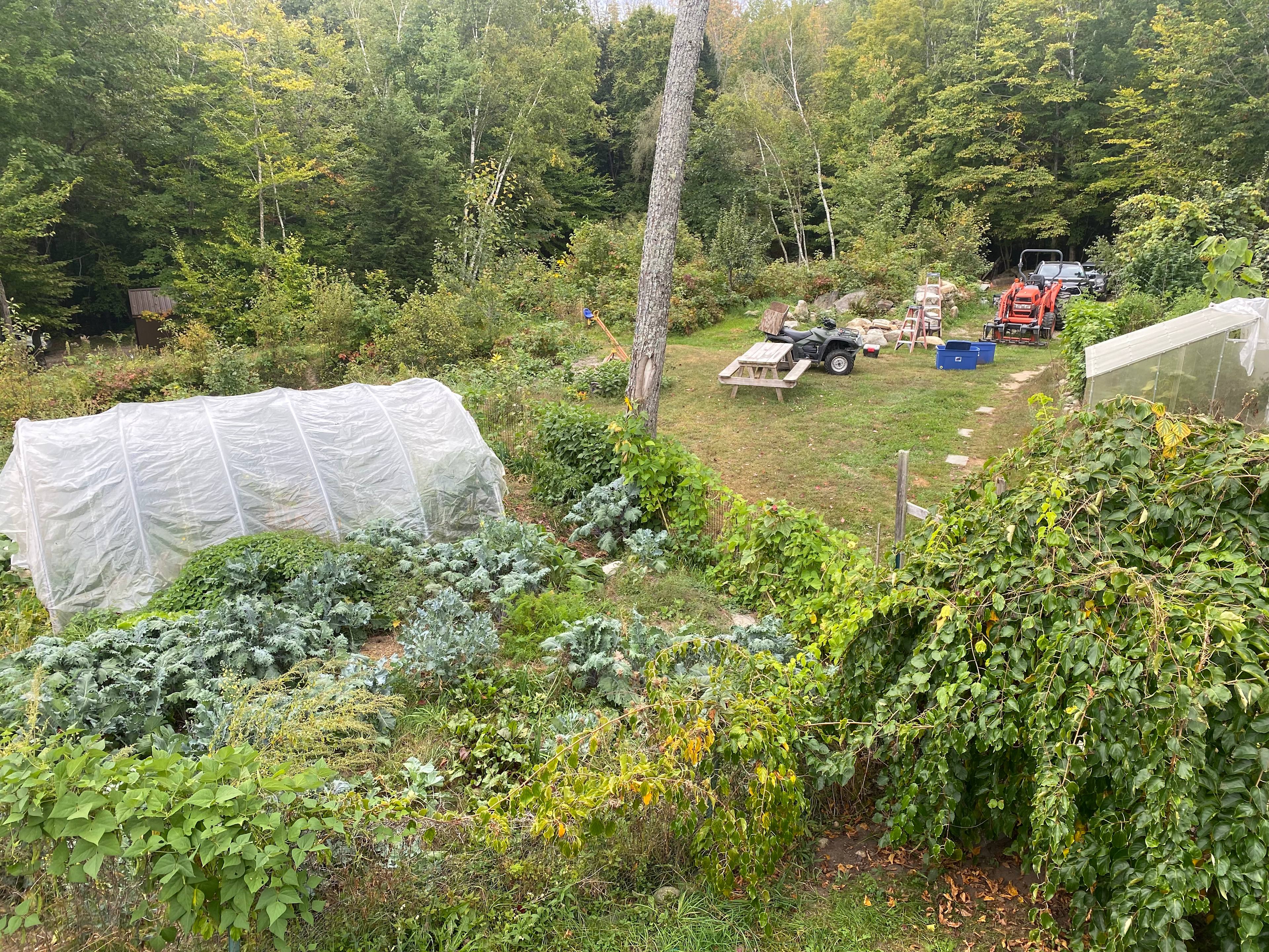 Earth Paradise Eco-Retreat