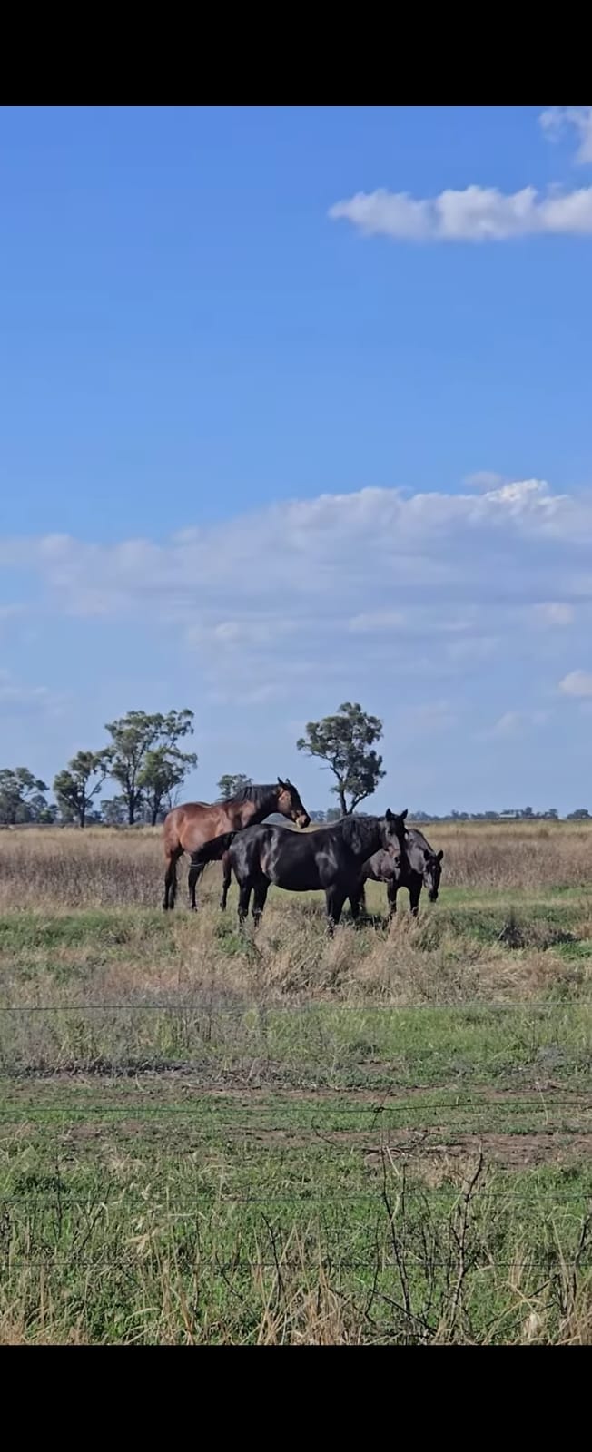 320 Country Escape
