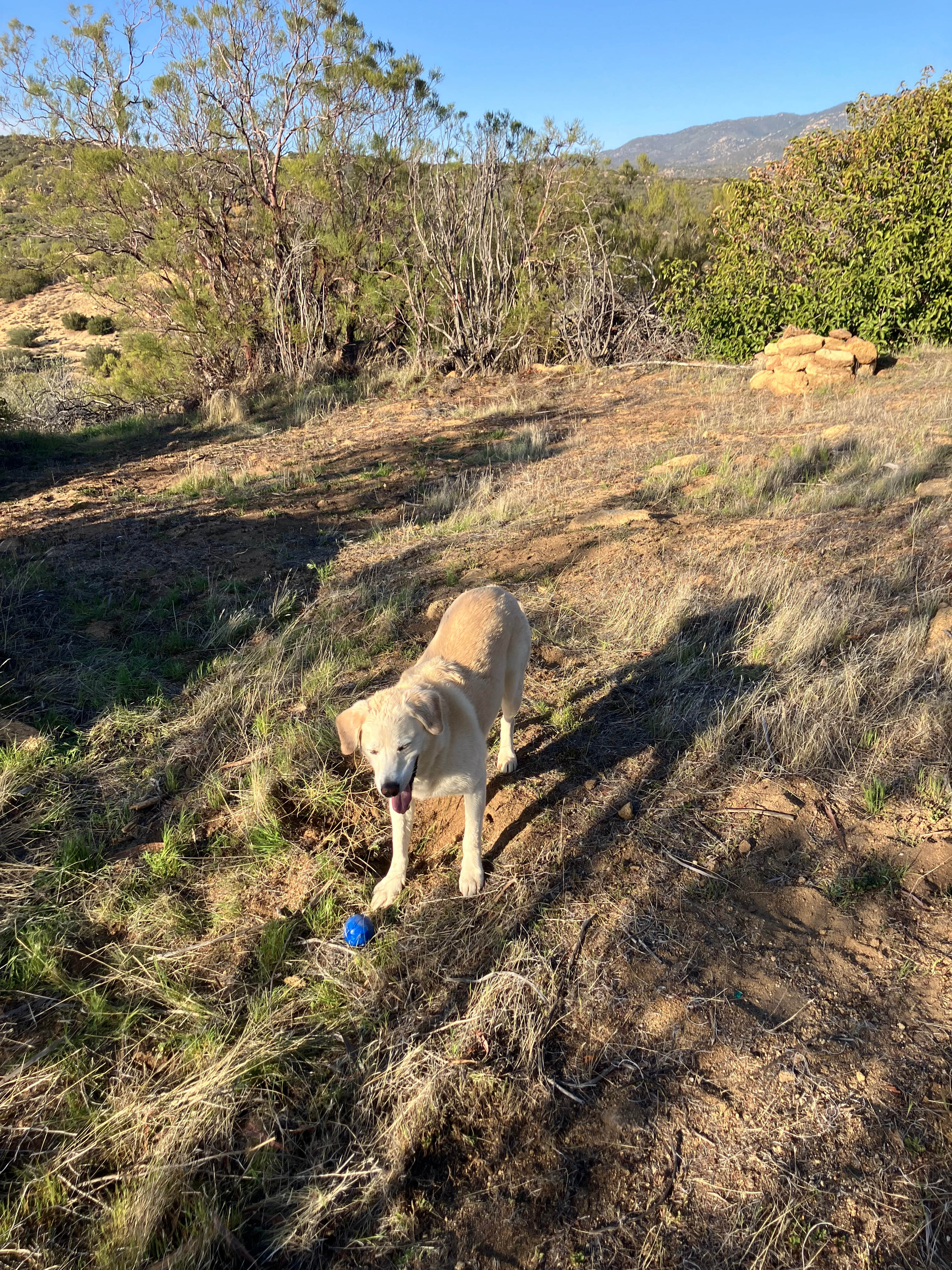 Section B Ranch