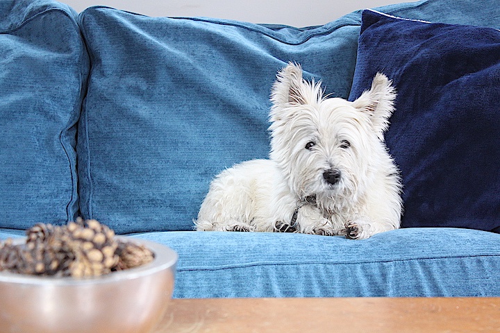 Deer Lake Wilderness Retreat