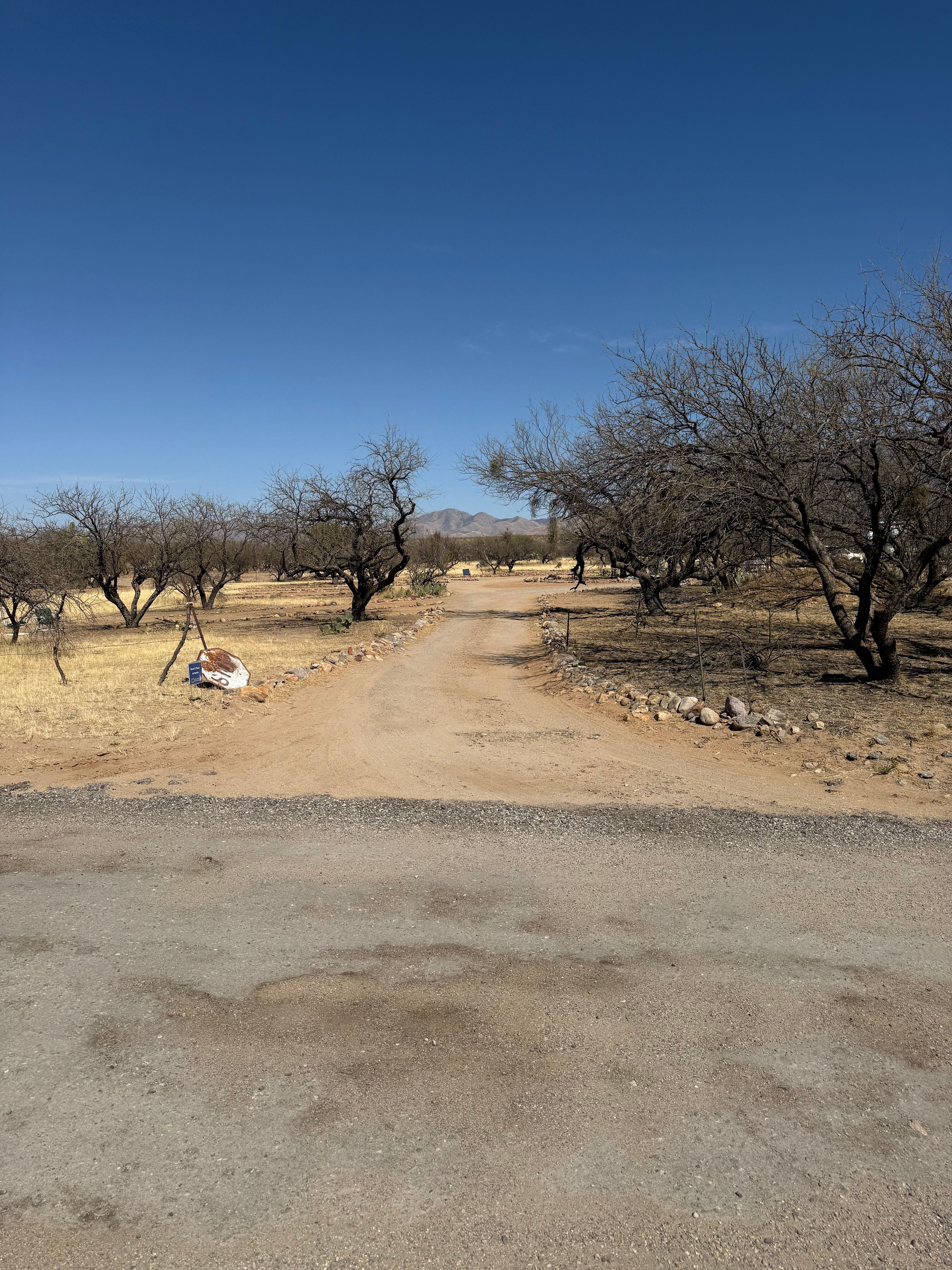 Dave's Place in the Desert