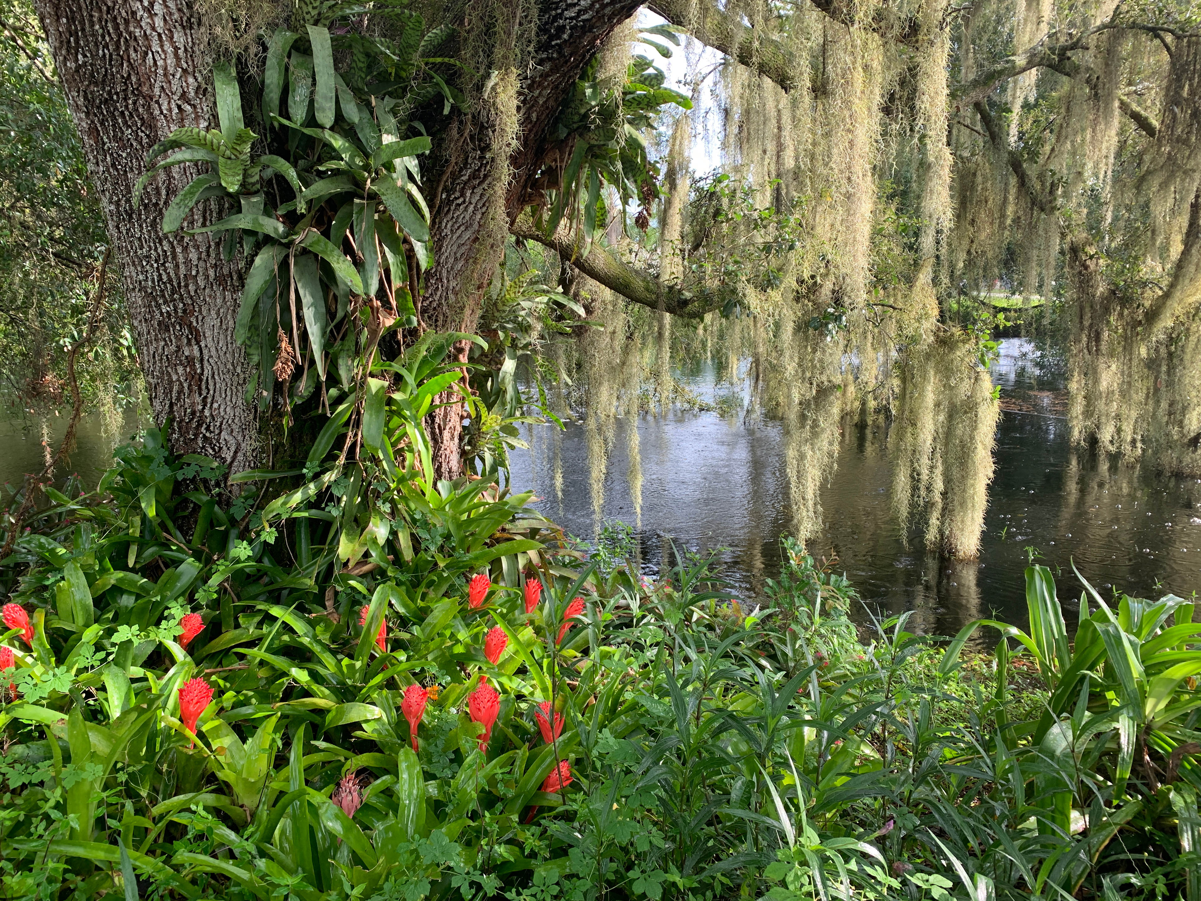 Magical Pond On Flitterbug Farm
