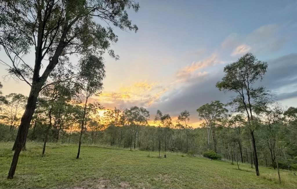 Kingrah Rest - Nature & Chill