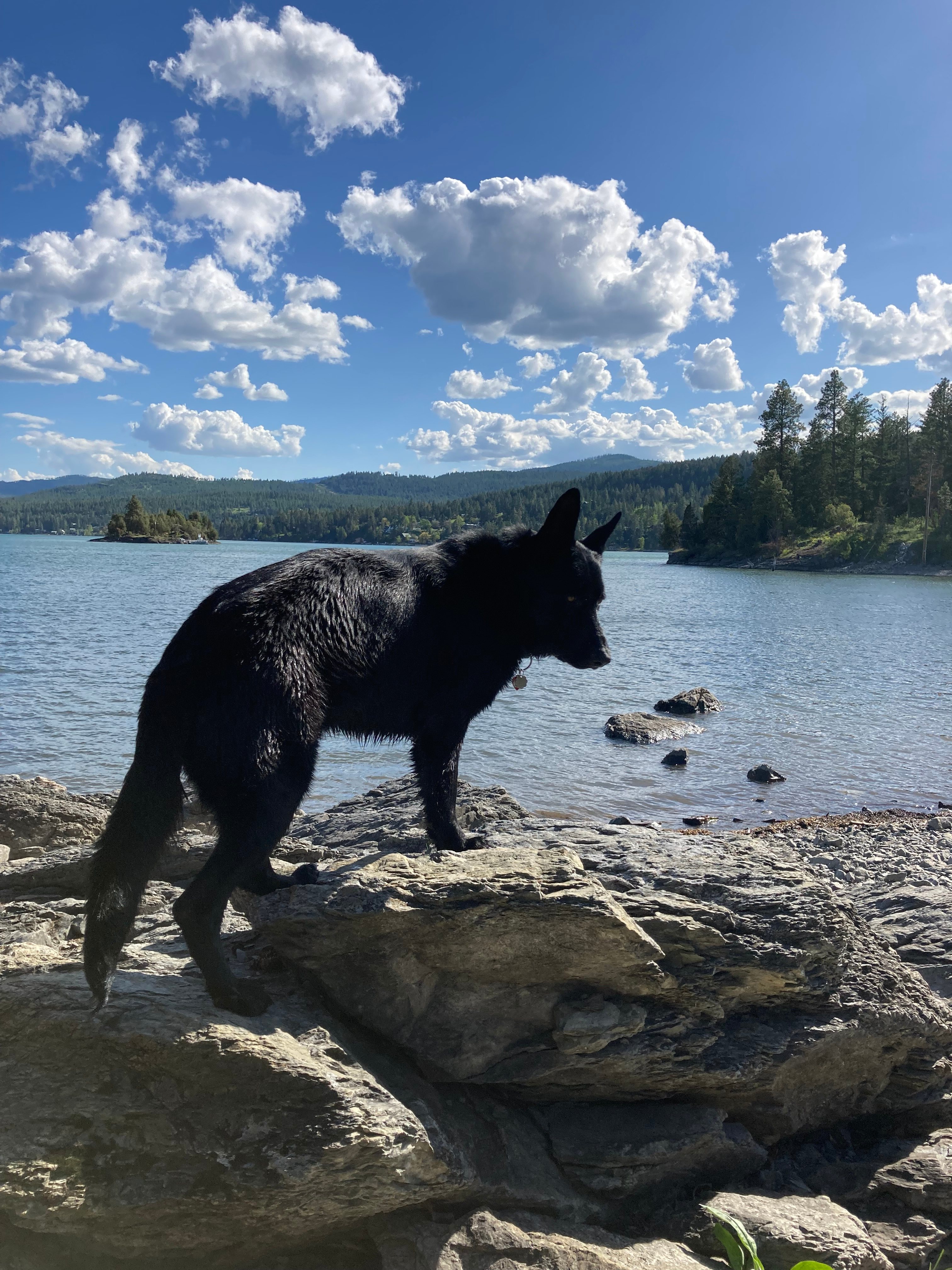 Woody's On Flathead Lake
