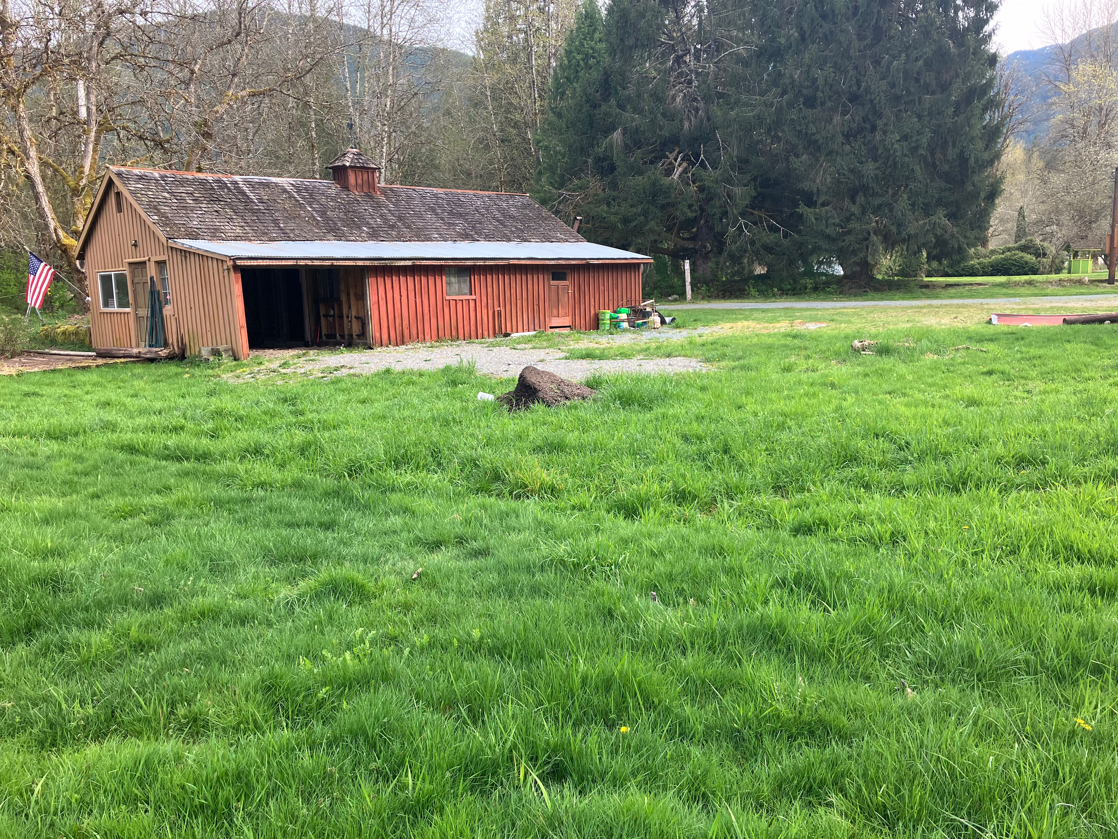 Twin Cedars Cascadia