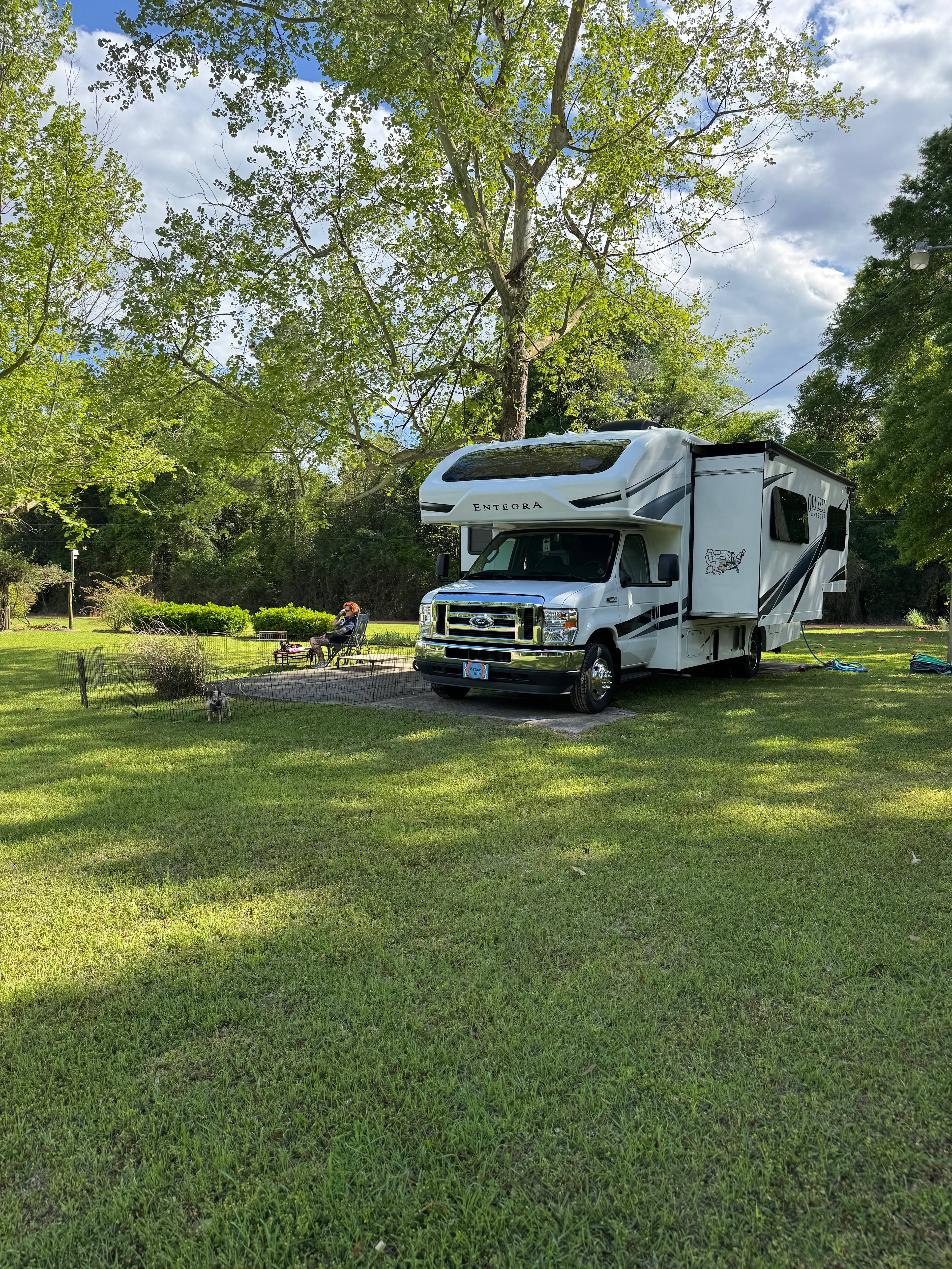 Plenty of green grass for walks.