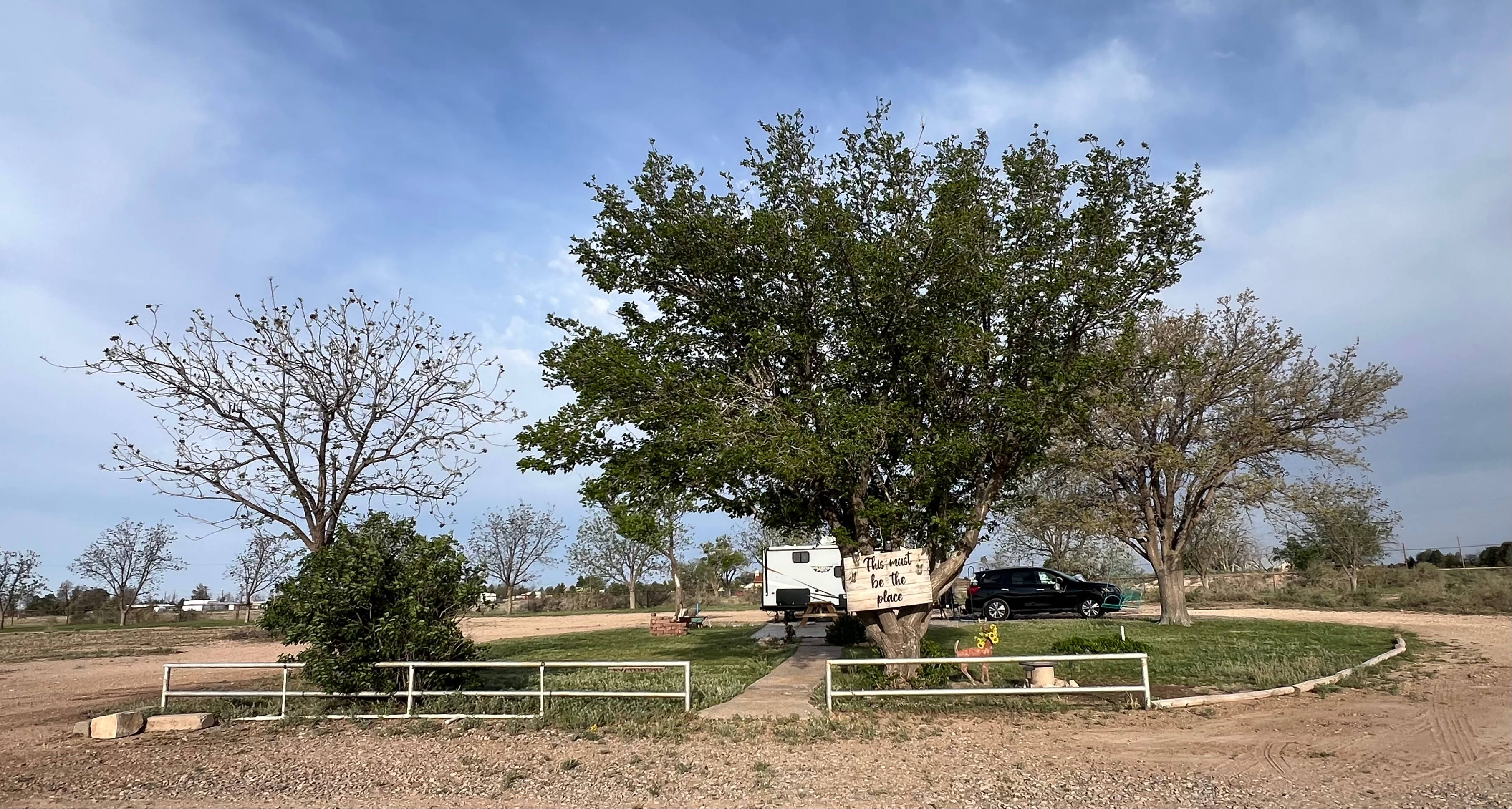 Desert Rose Stopover