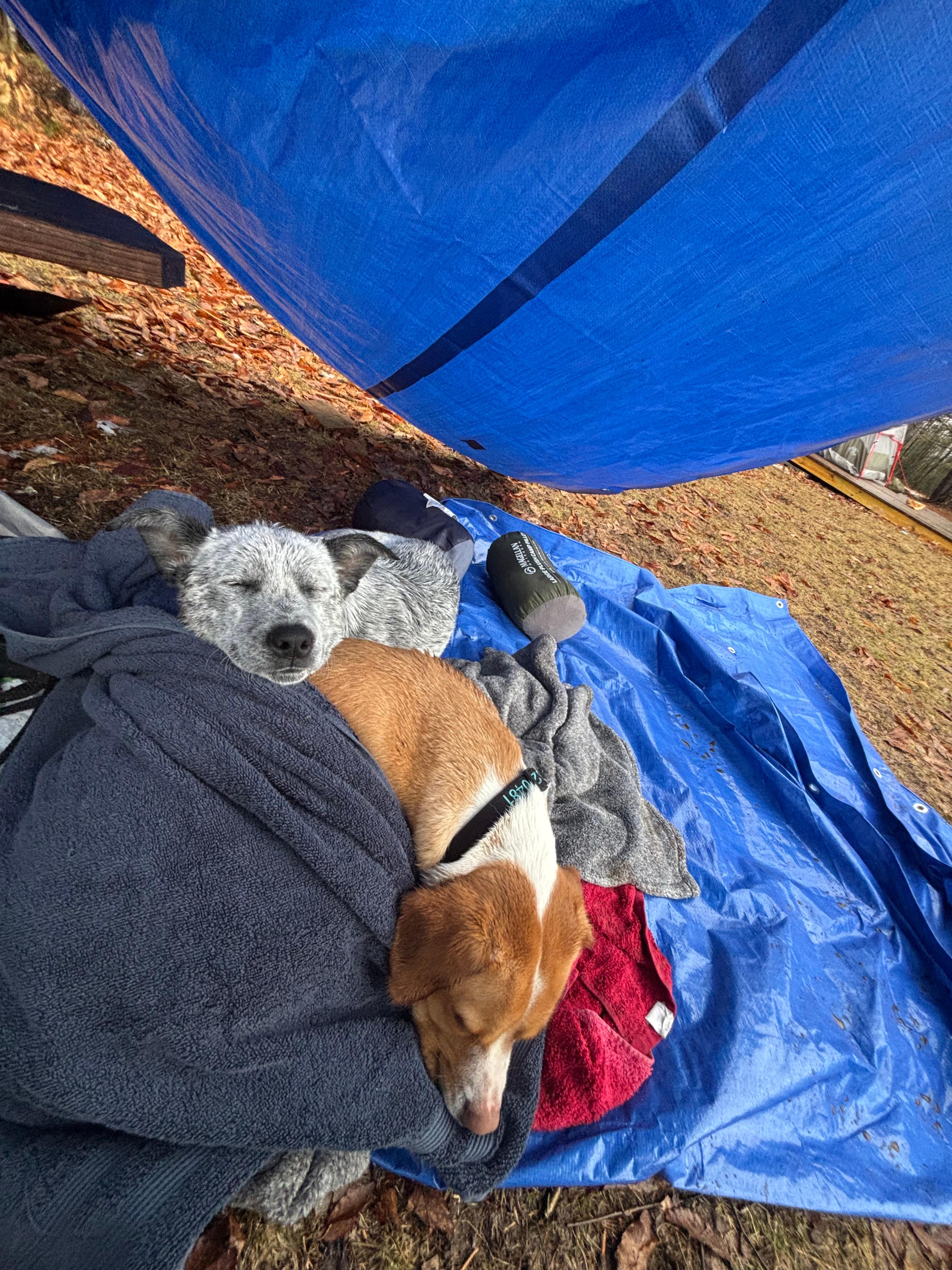 rainy weather so we brought some tarps for cover