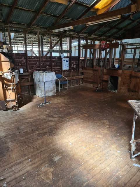 3A Camping experience.