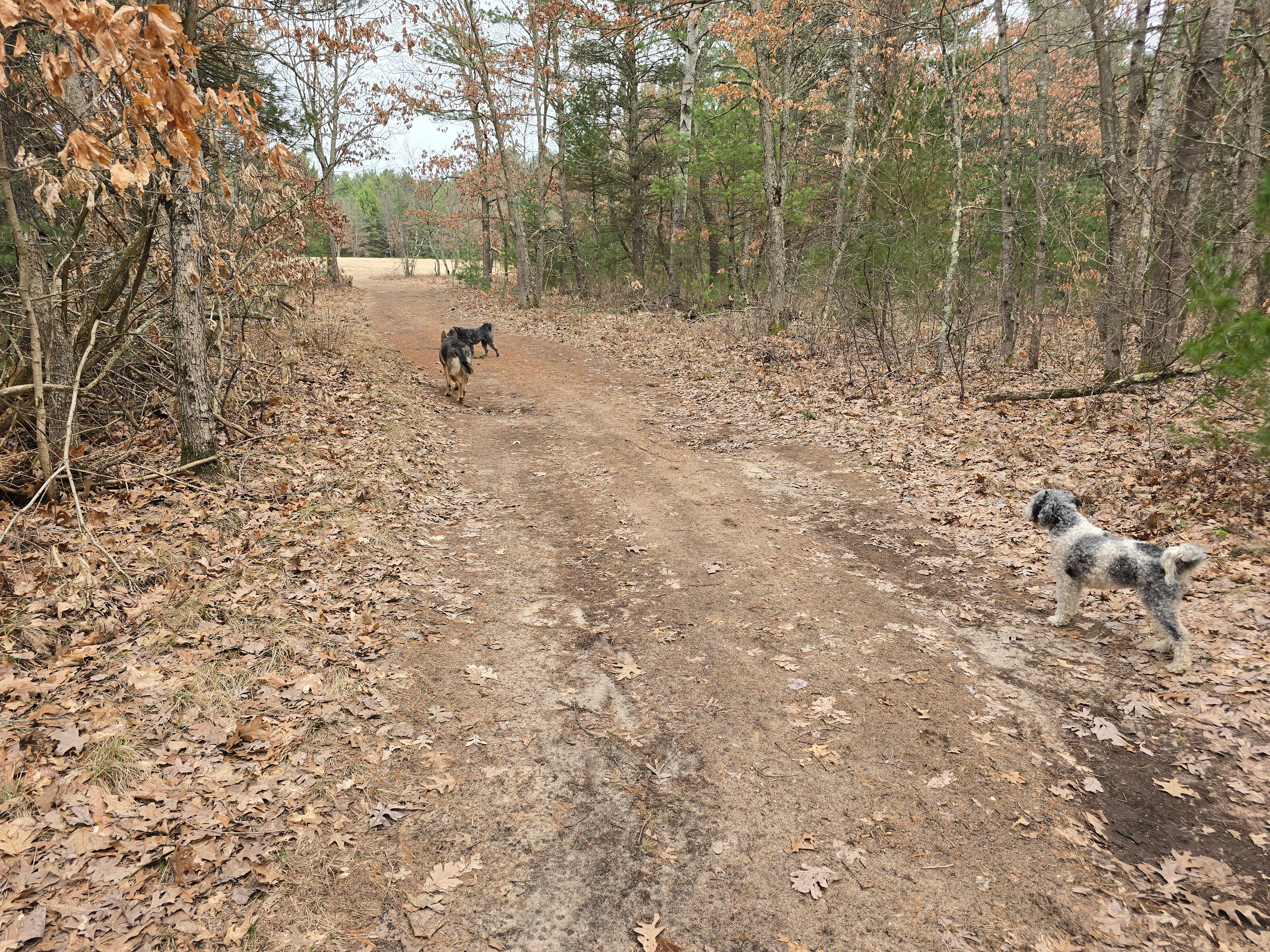 Entrance to the campsites is actually off a seasonal road. 