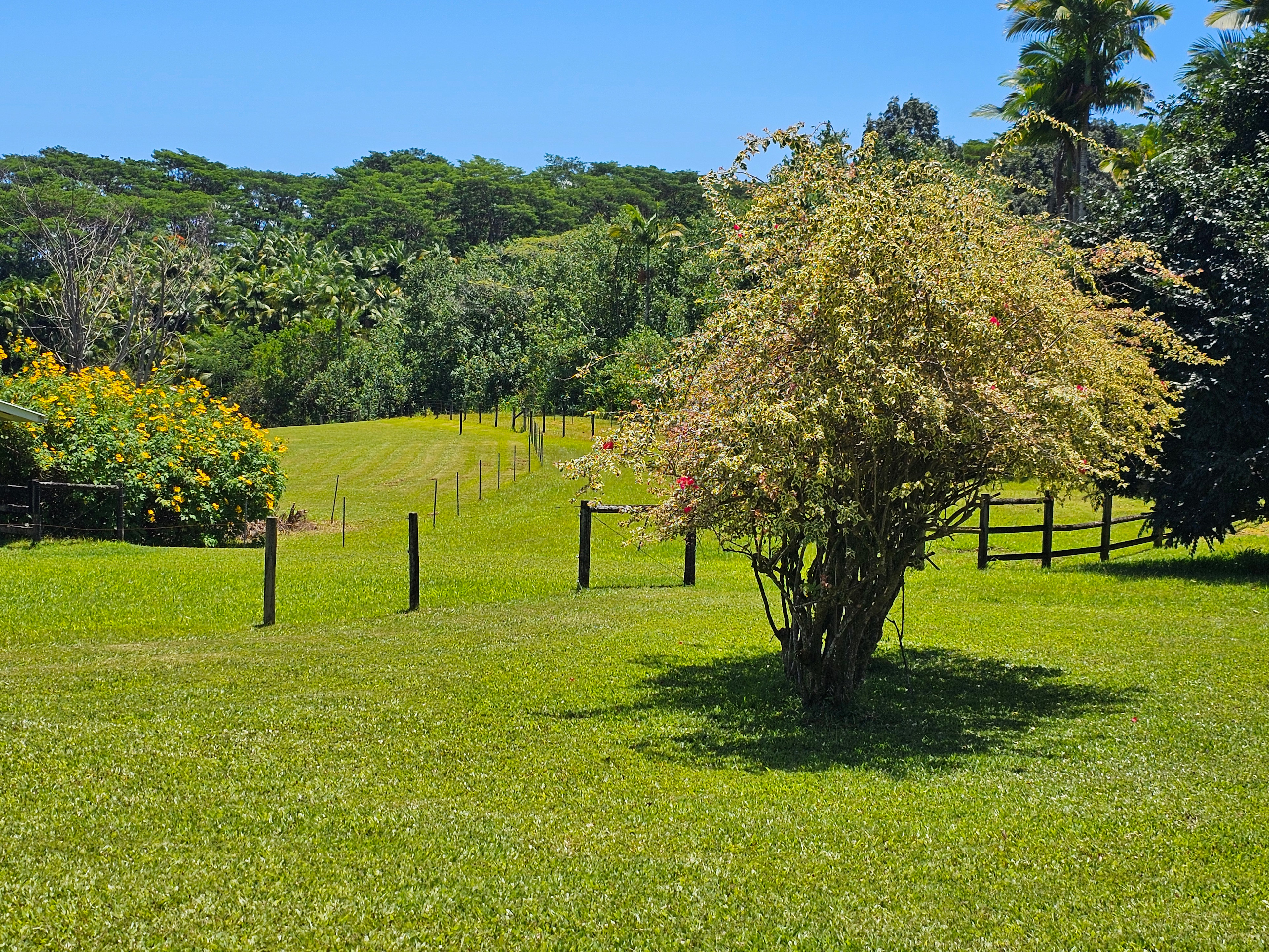 Green Acres