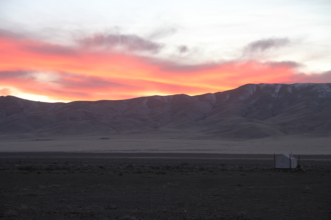 Star Gaze Ranch