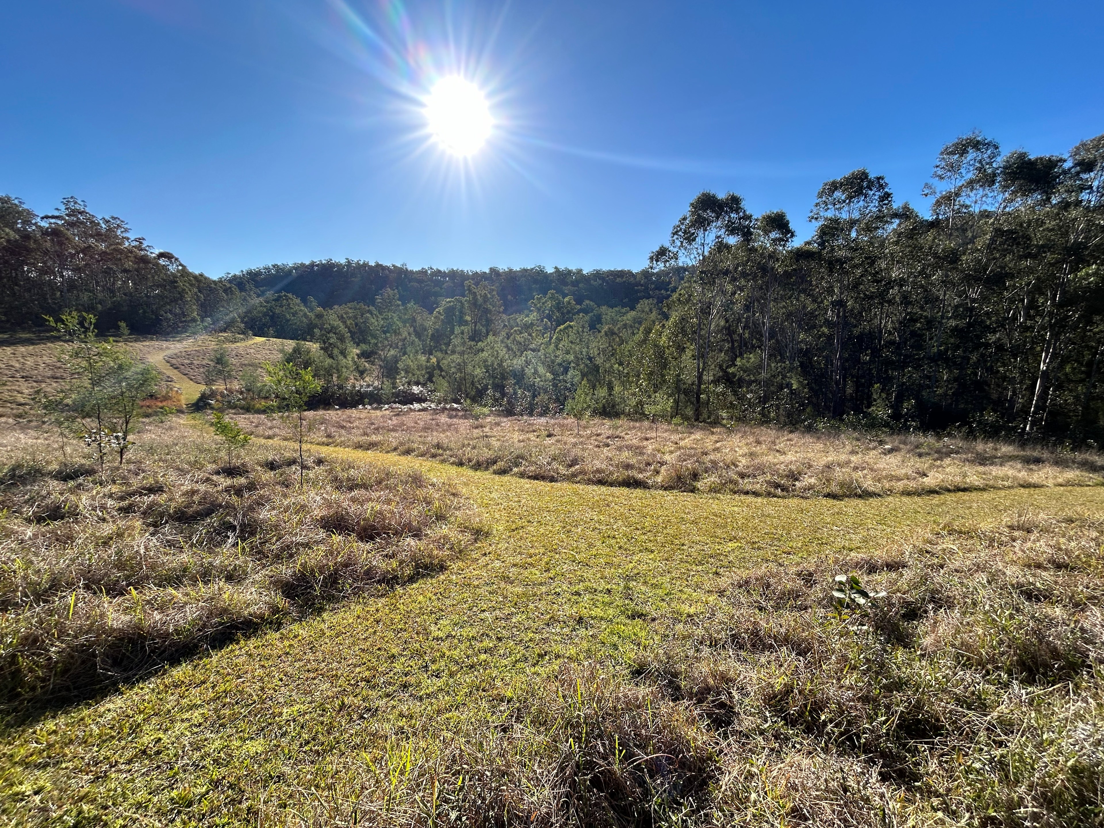 Yengo Bush Camp