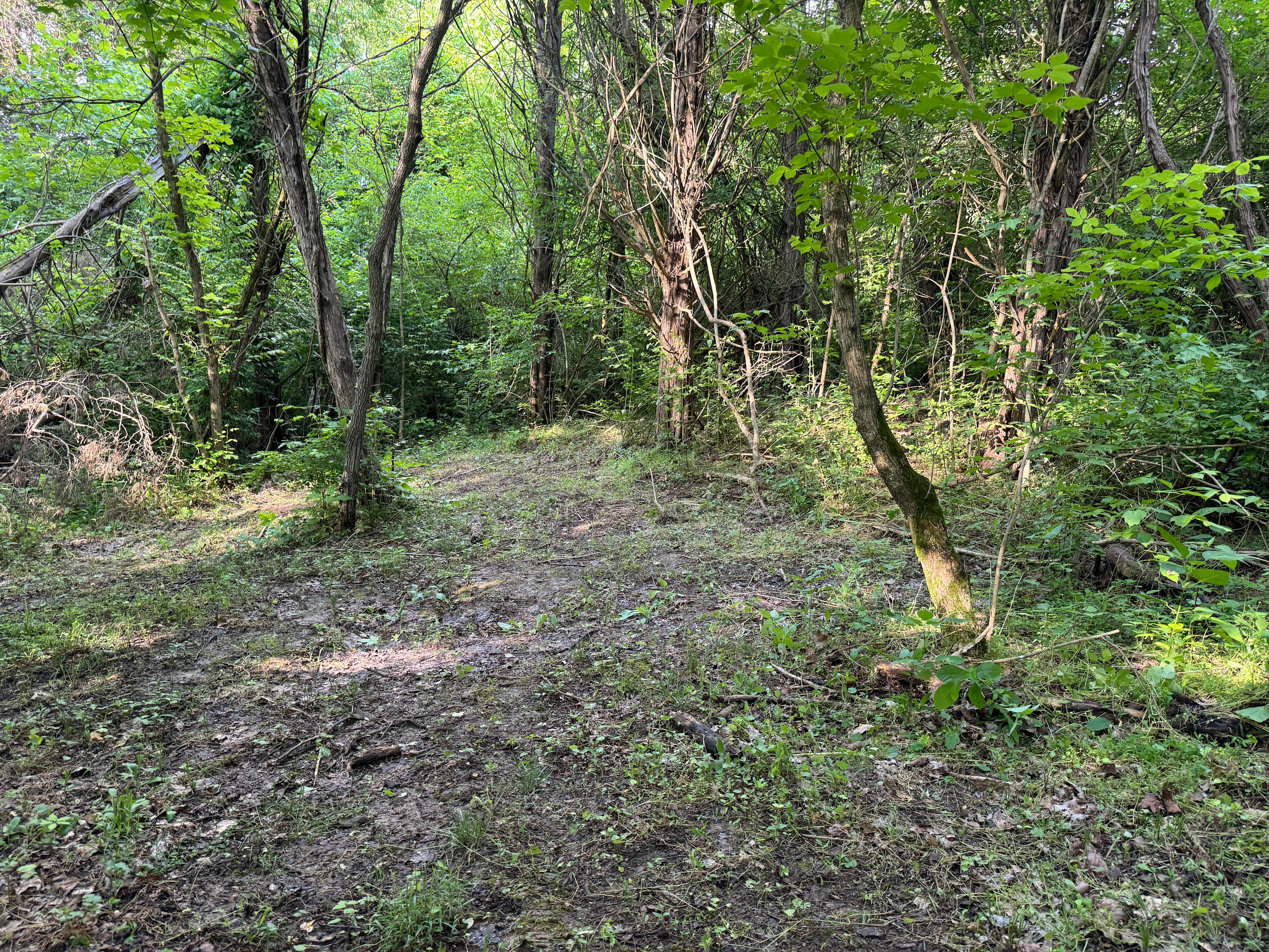 Phoenix Rising Villas