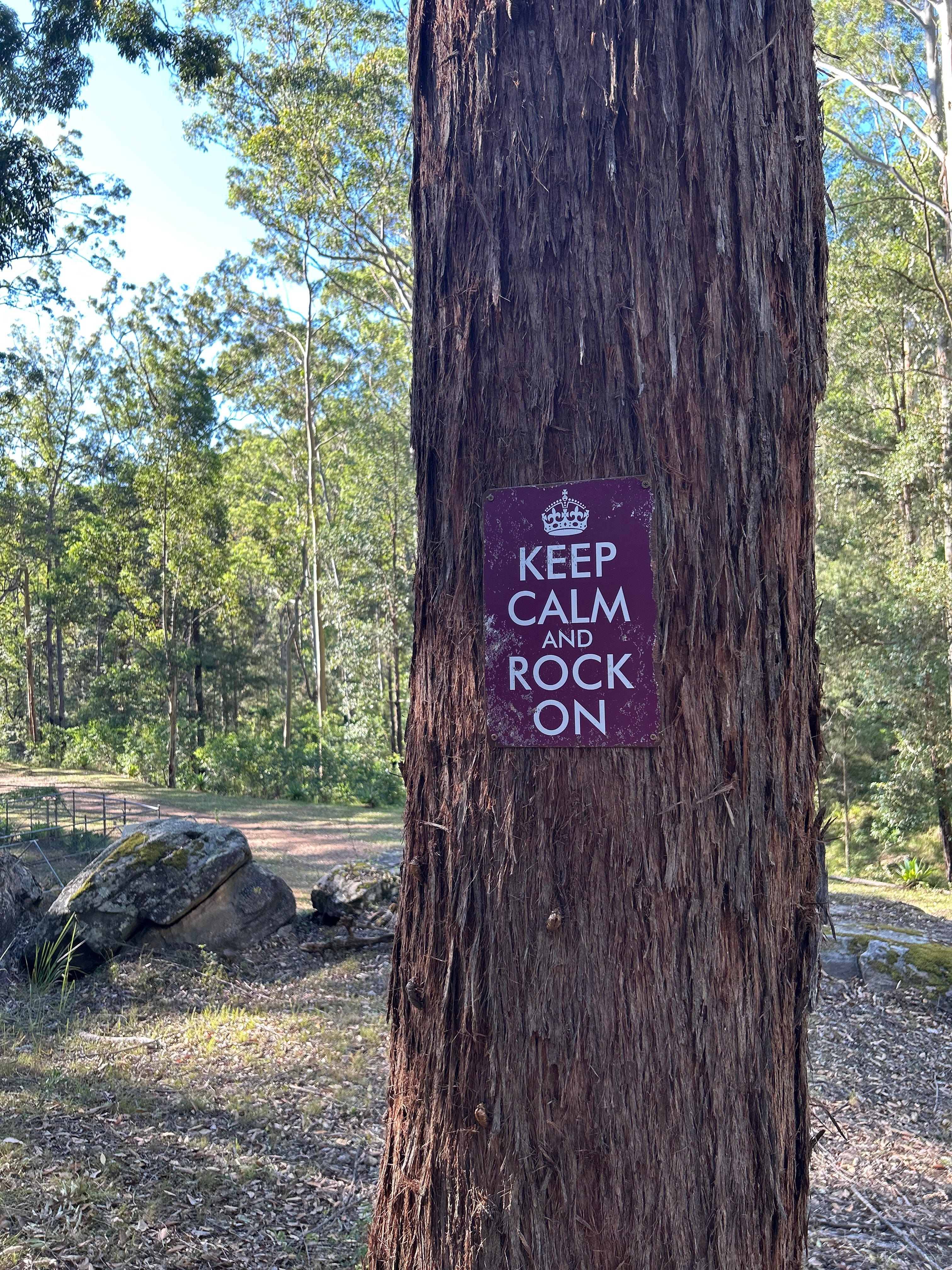 Rocky Forest Bush Retreat