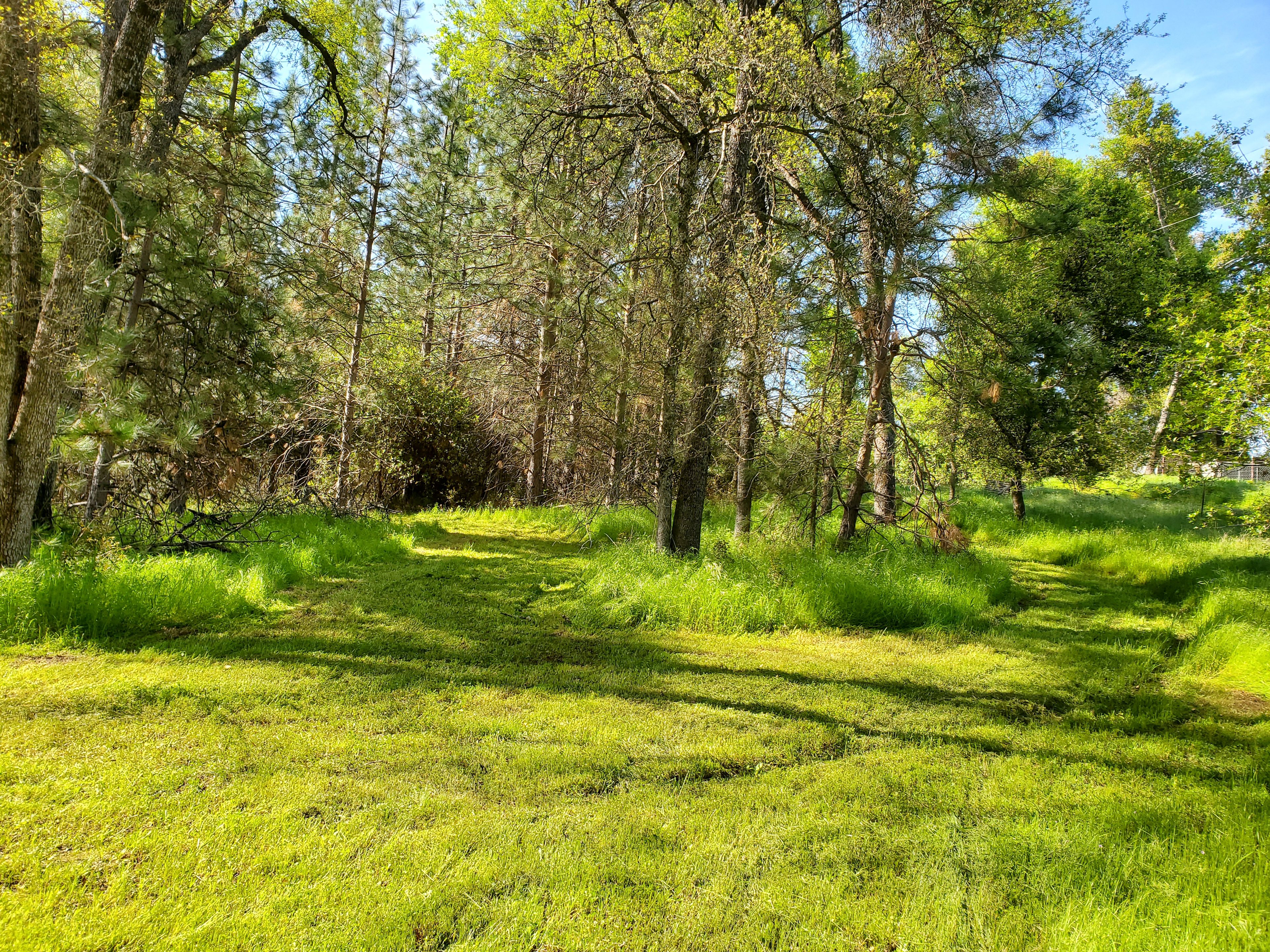 Historical Columbia Campground