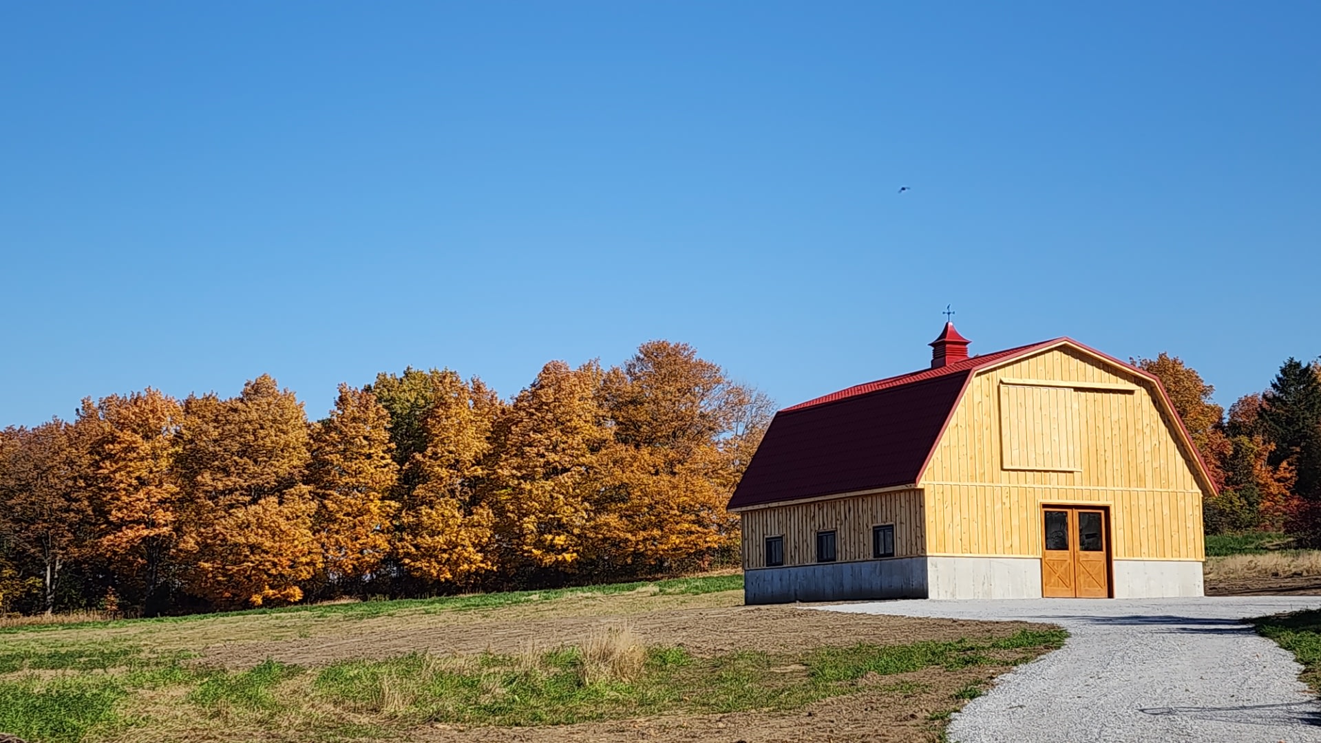 Risk Ranch
