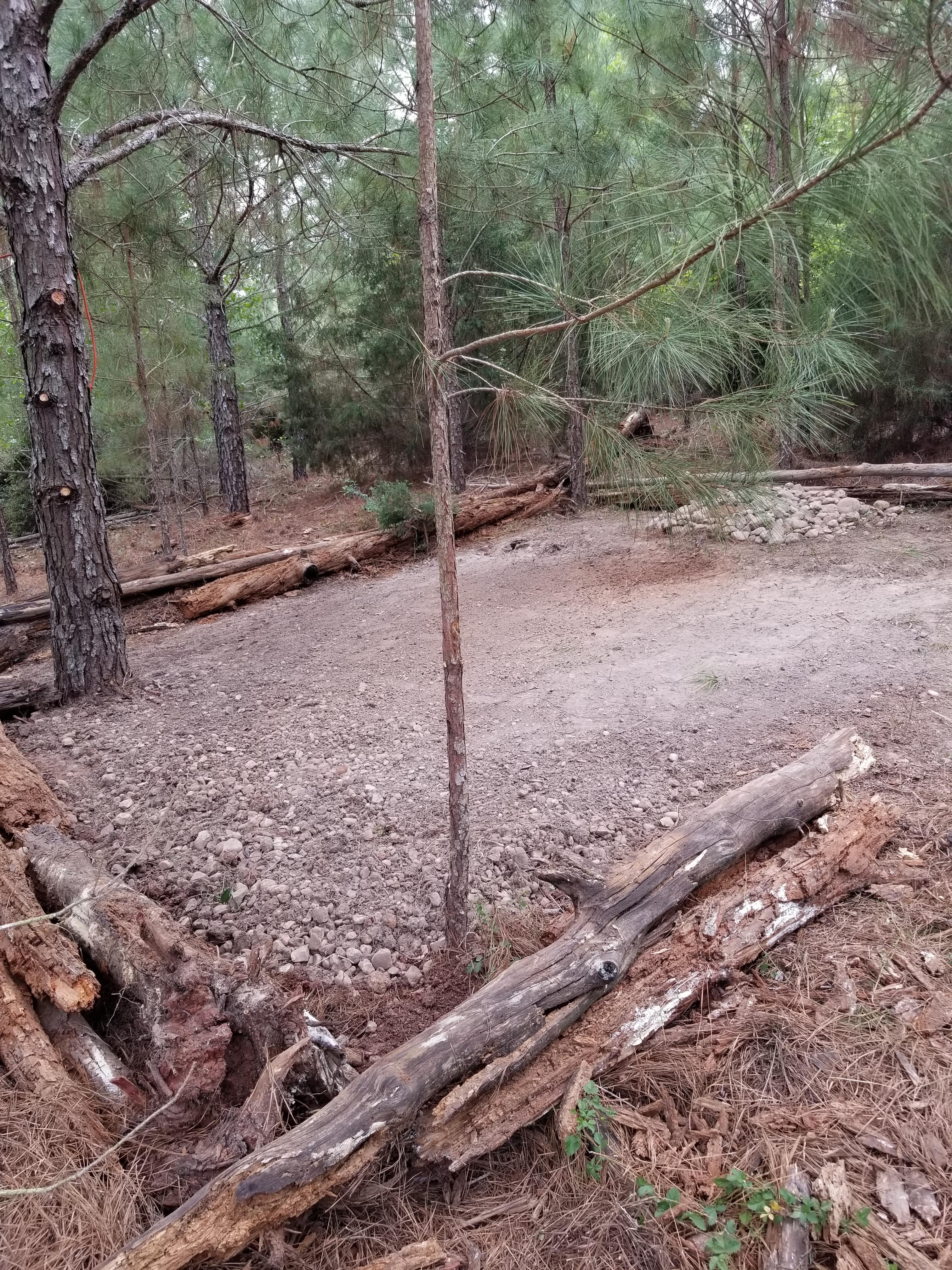 Lost Pines Camping