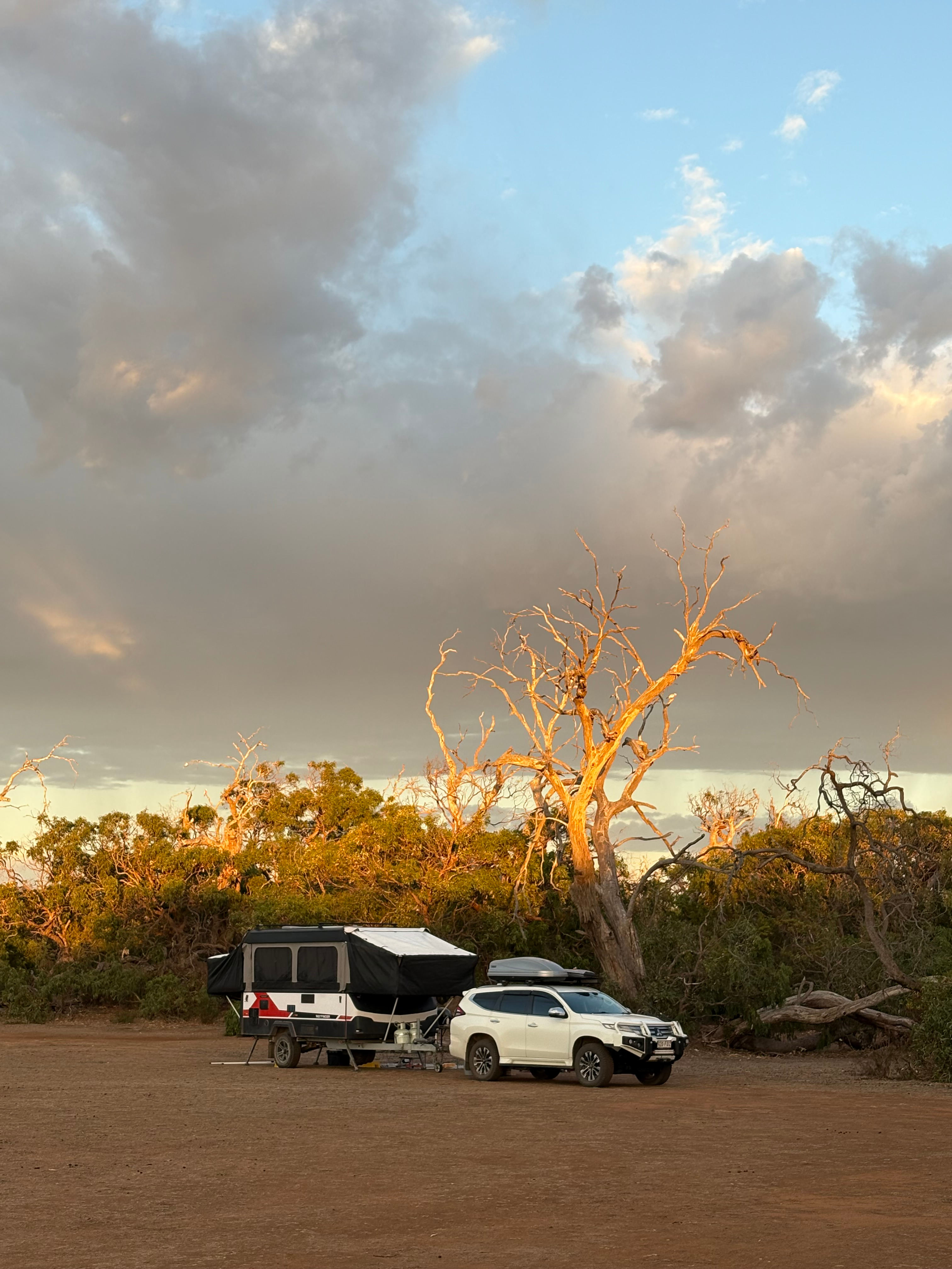 Mikkira Station Koala Sanctuary