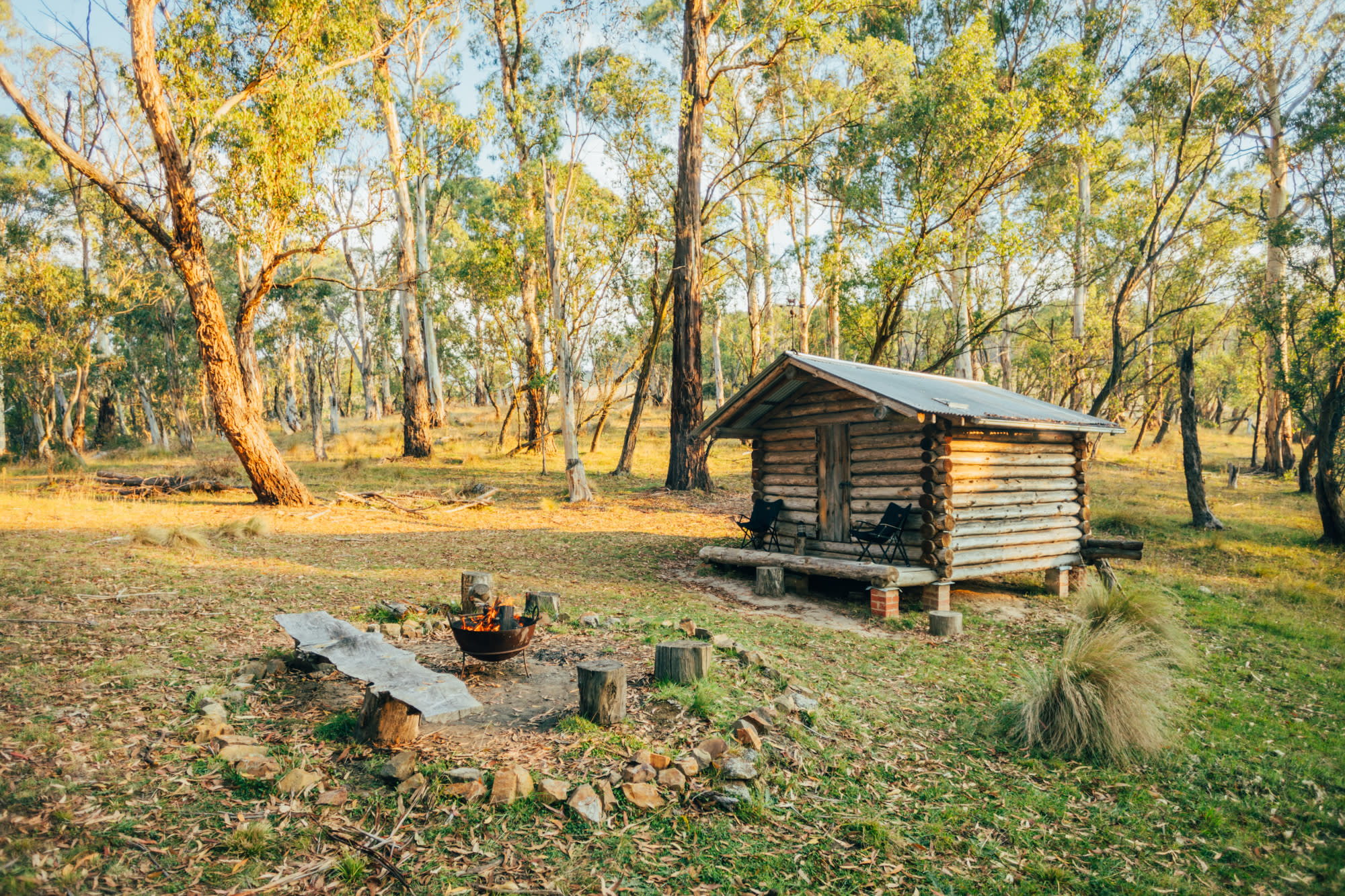 afternoon light at the cabin