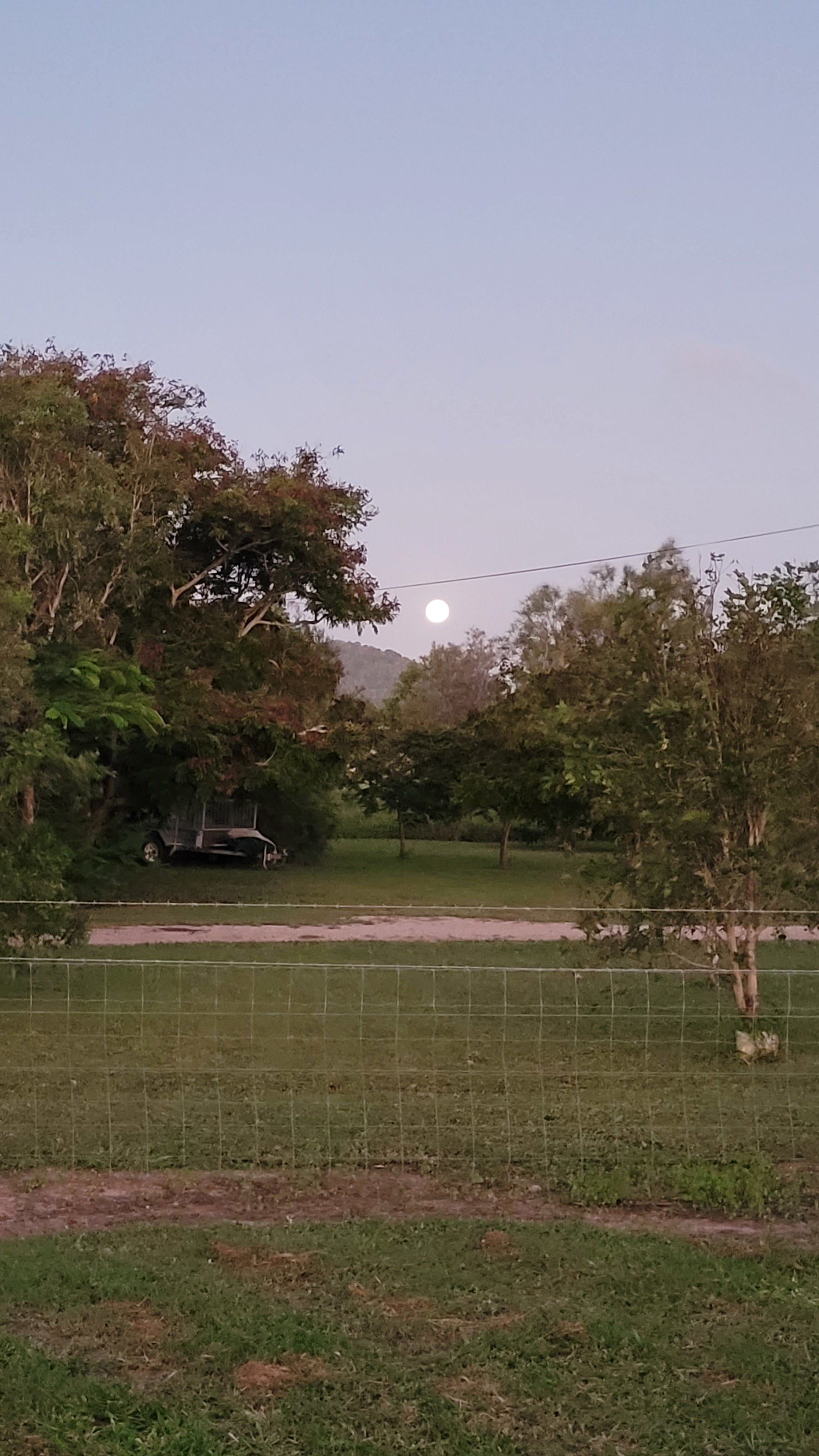 Jenkins Farm