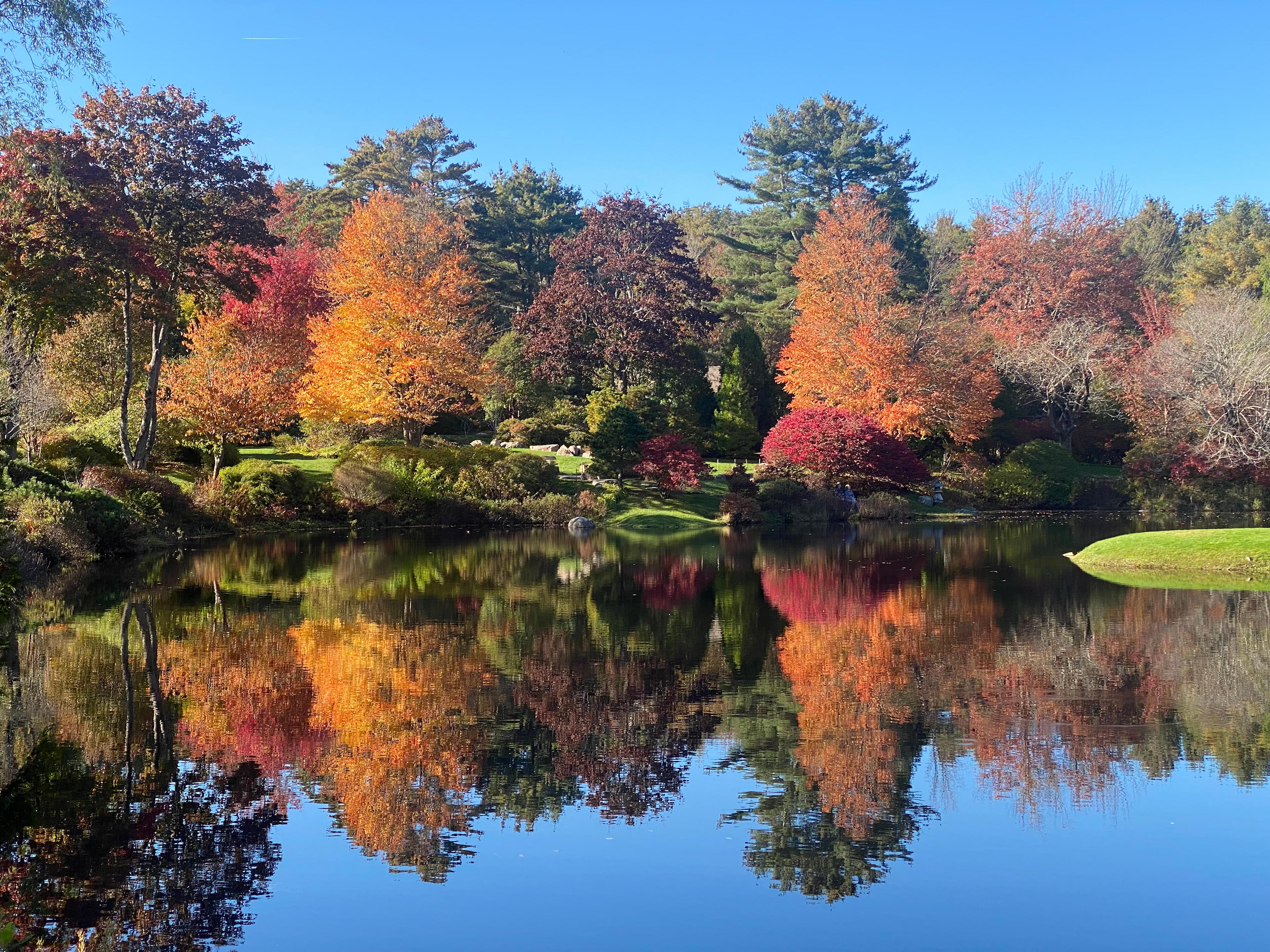Surry Maine Studio by the Sea