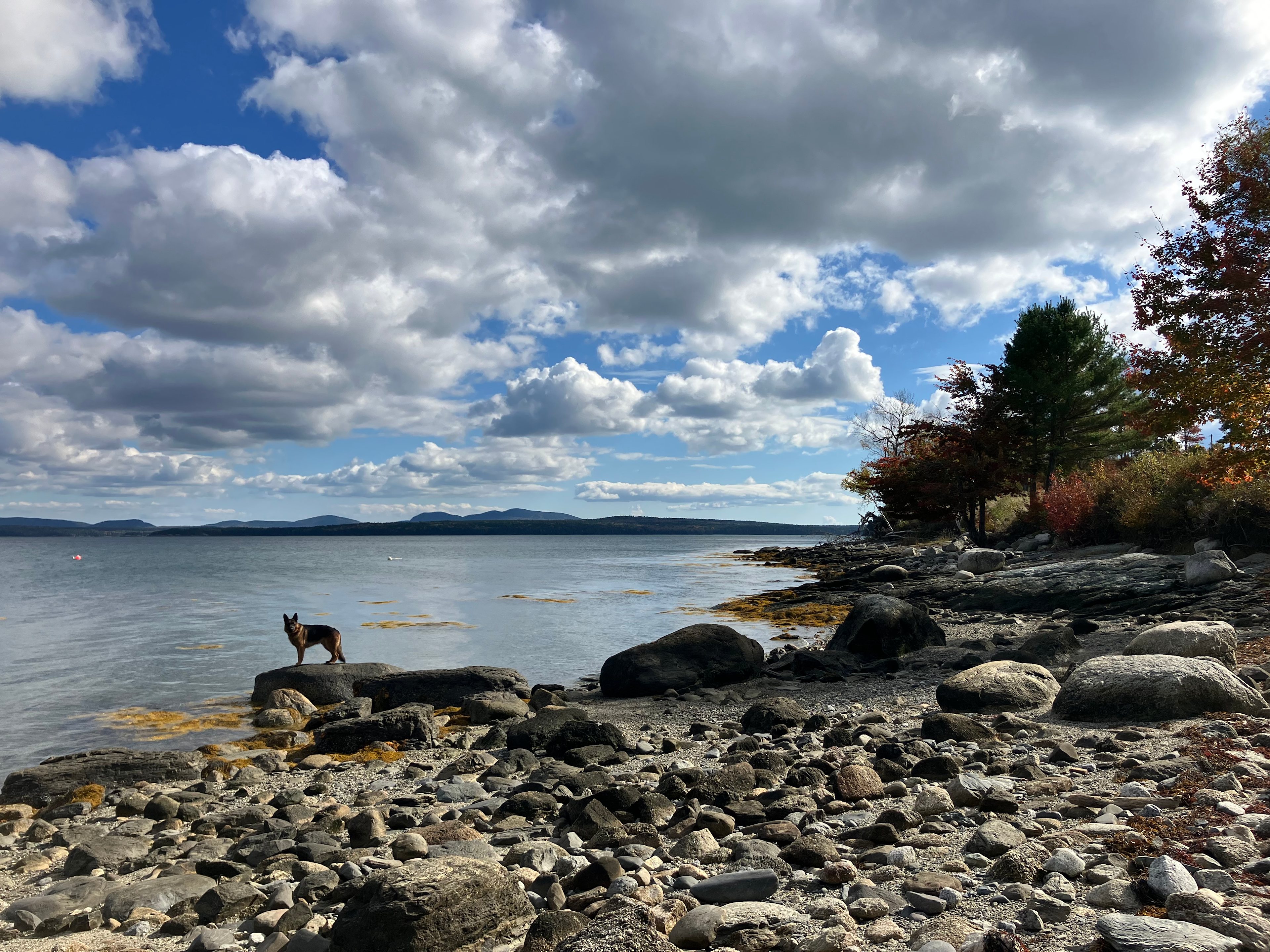 Surry Maine Studio by the Sea