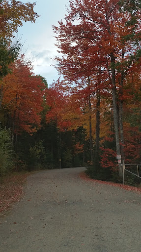 Forest Ridge Campground