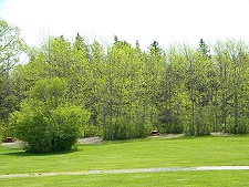 Hadley's Point Campground