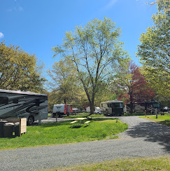 Lazy Lions Campground