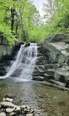 Lazy Lions Campground