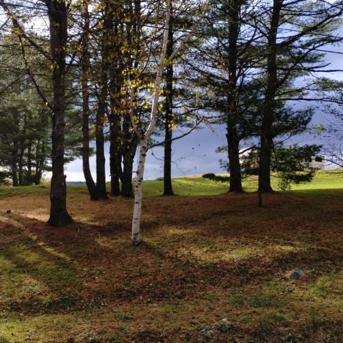 Stony Brook Campground