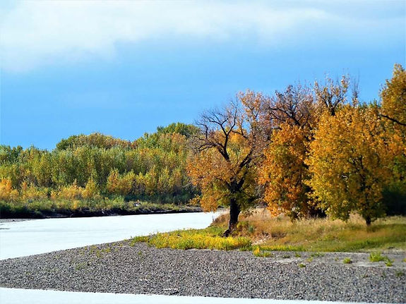 Riverview RV Park