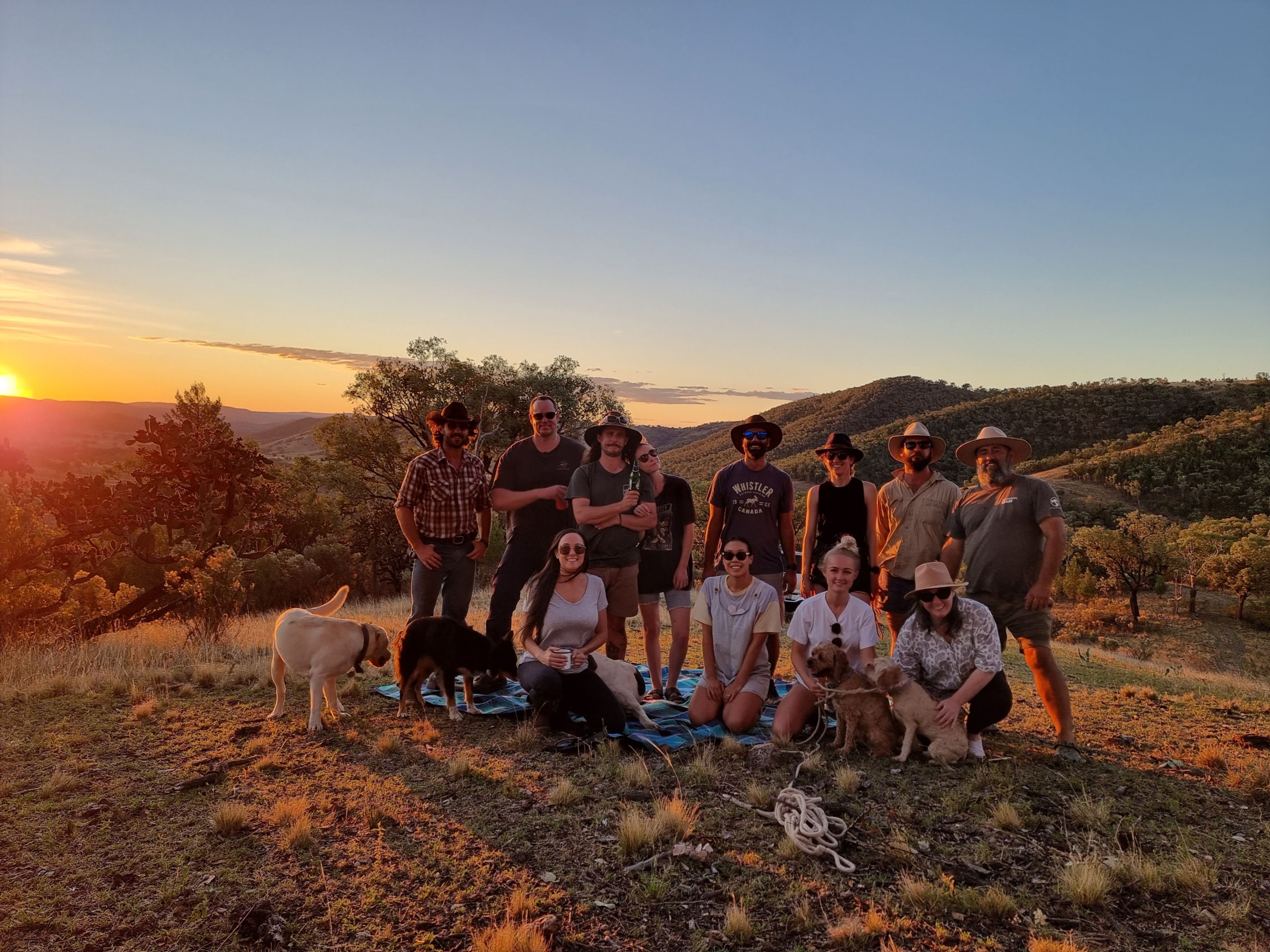 Serenity Ranch (horse-friendly)