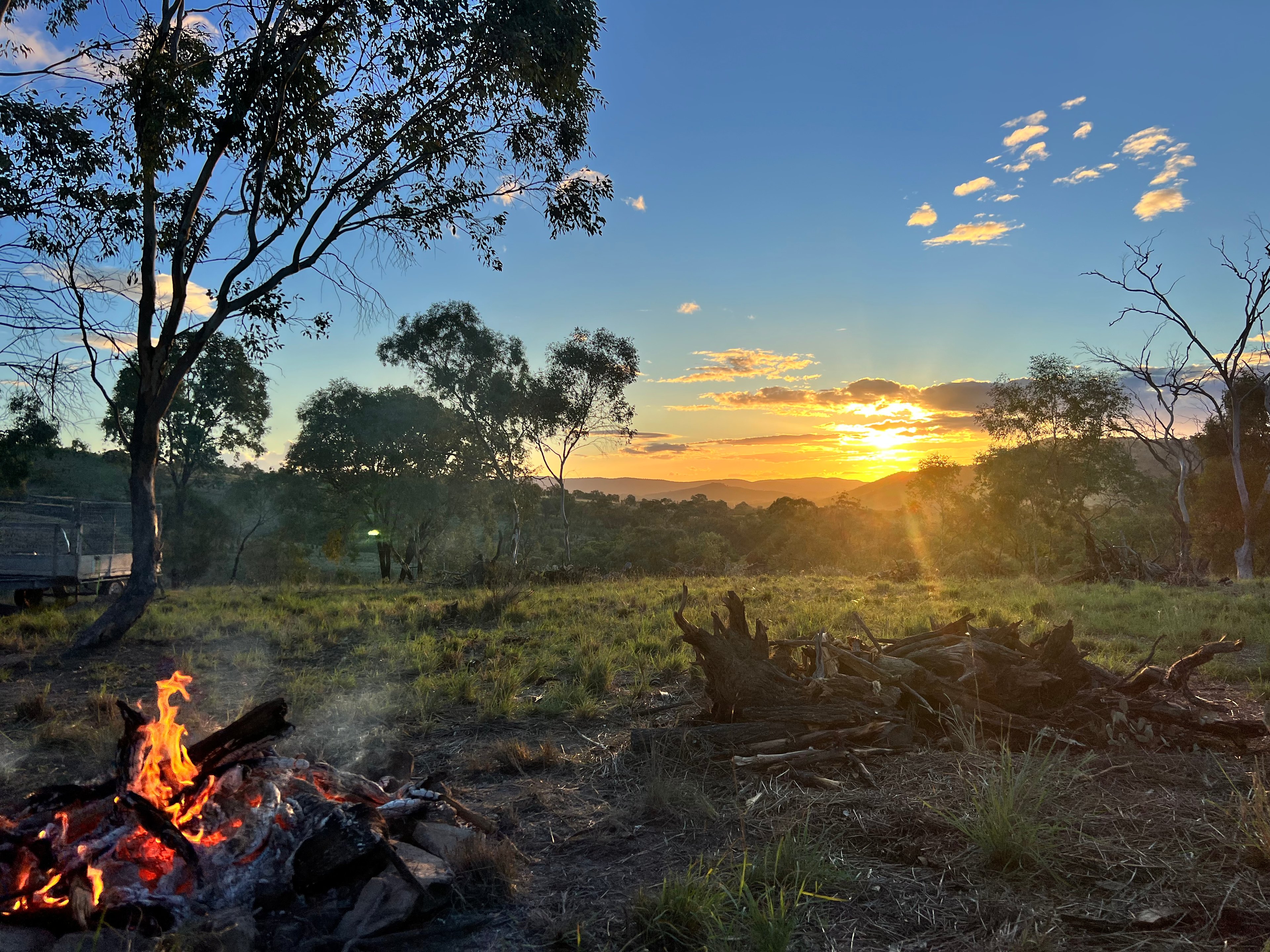 Serenity Ranch (horse-friendly)