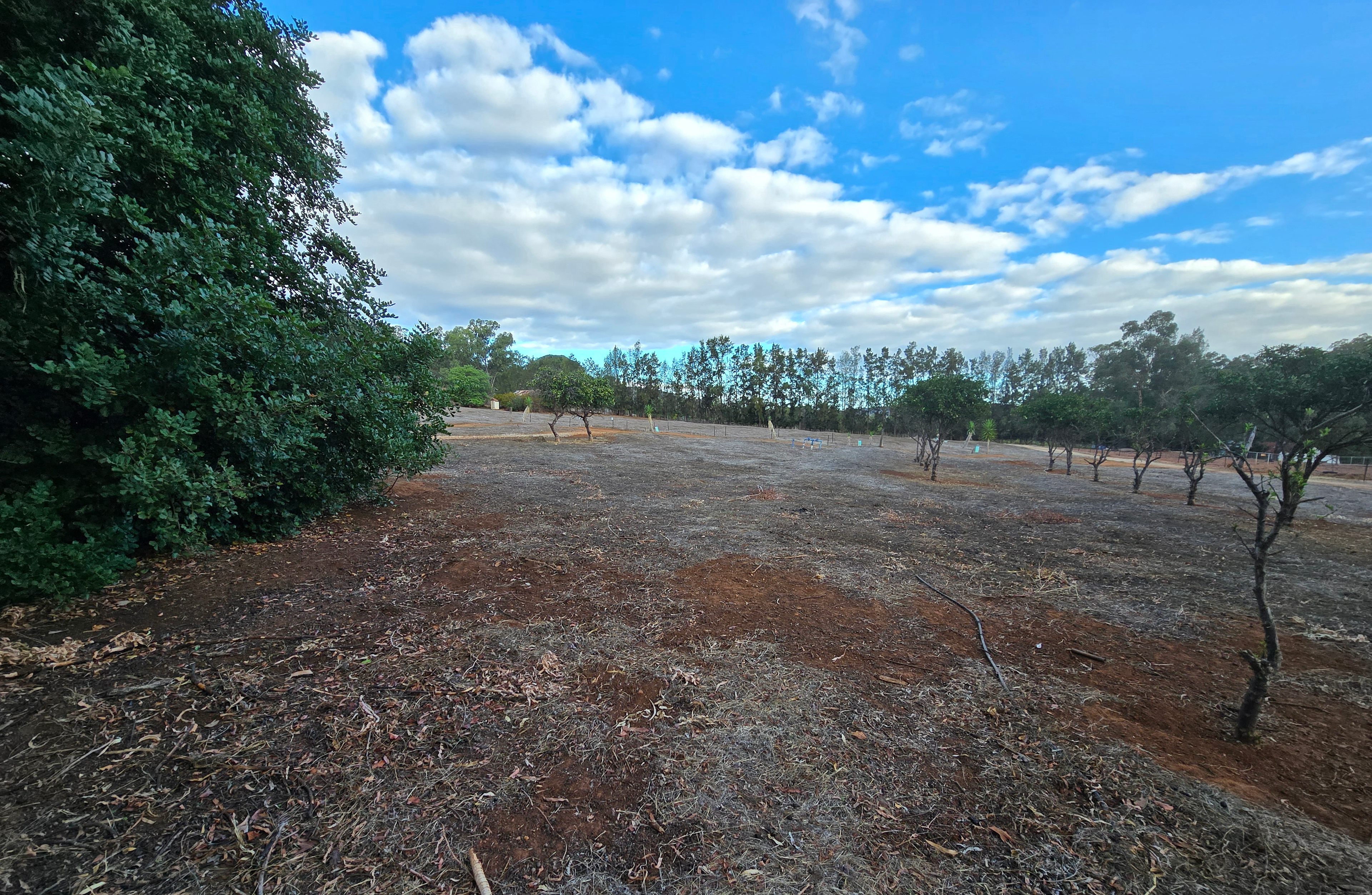 Citrus Park – A peaceful escape
