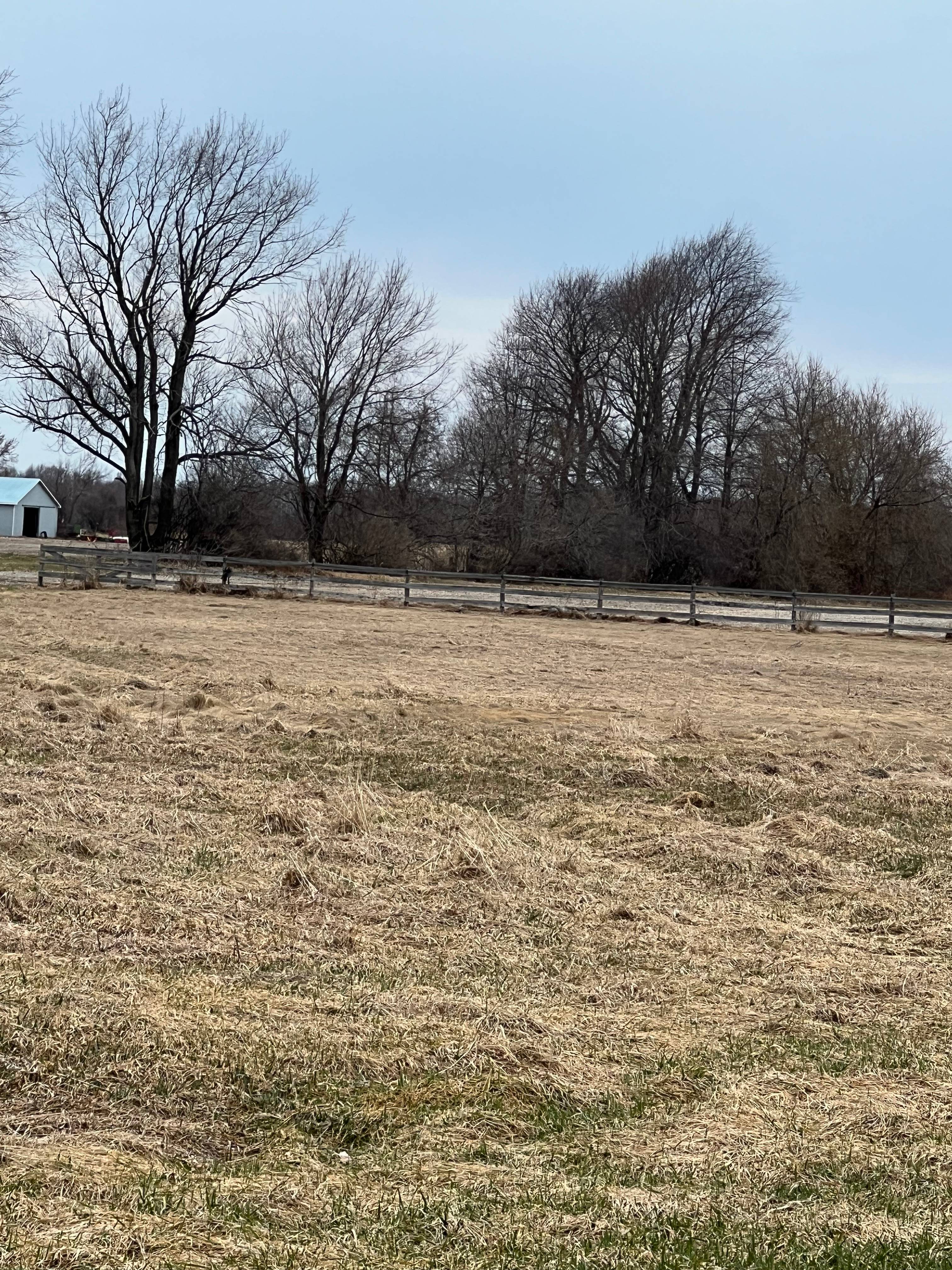 Orakzai Farms
