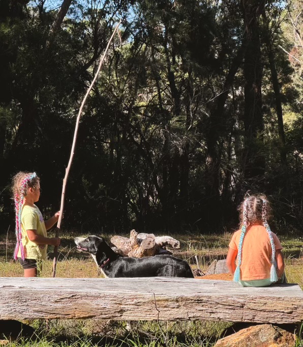 Old Forty Pumpkin Farm