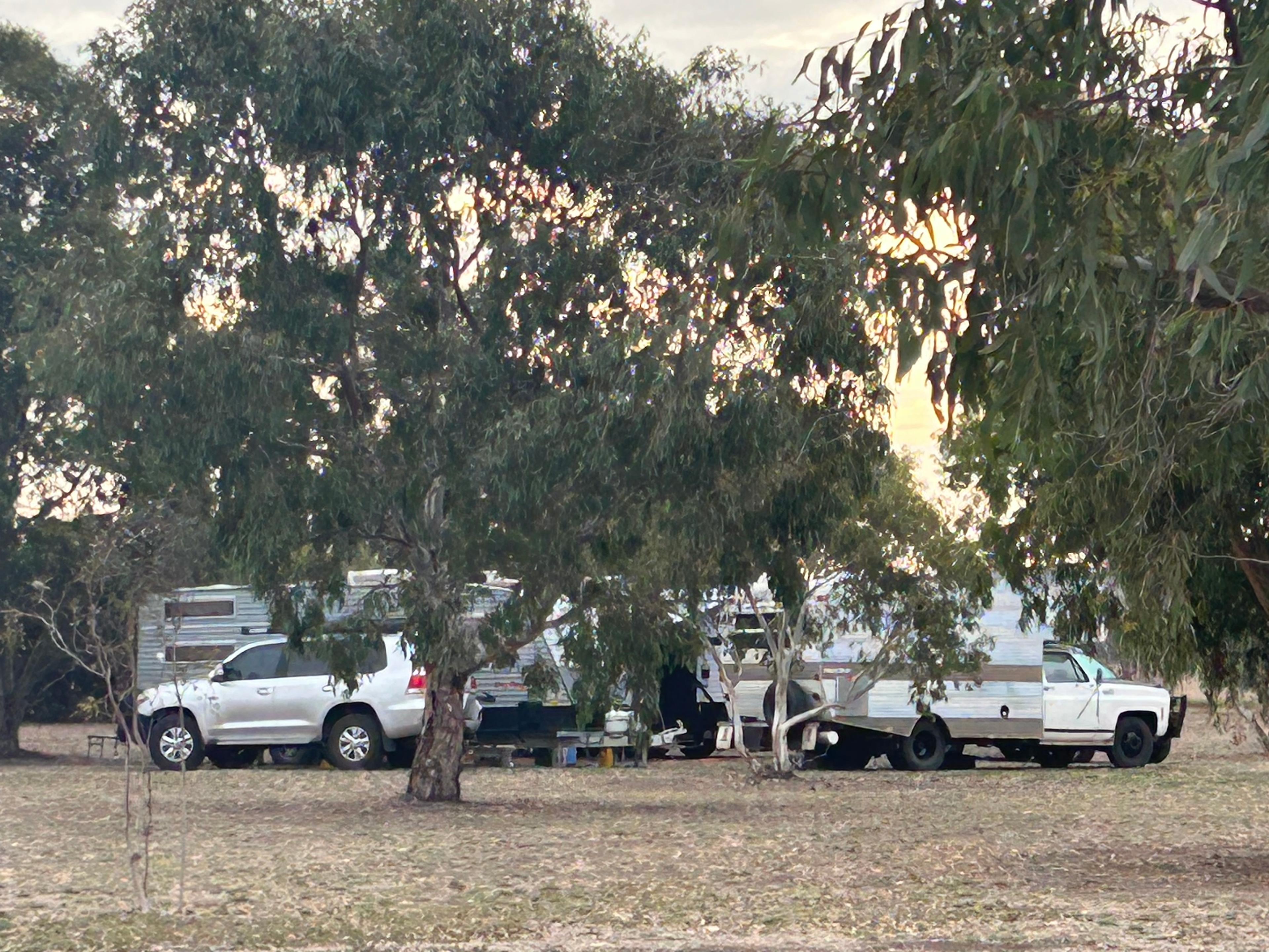 Reedy Lakes Farm Stay