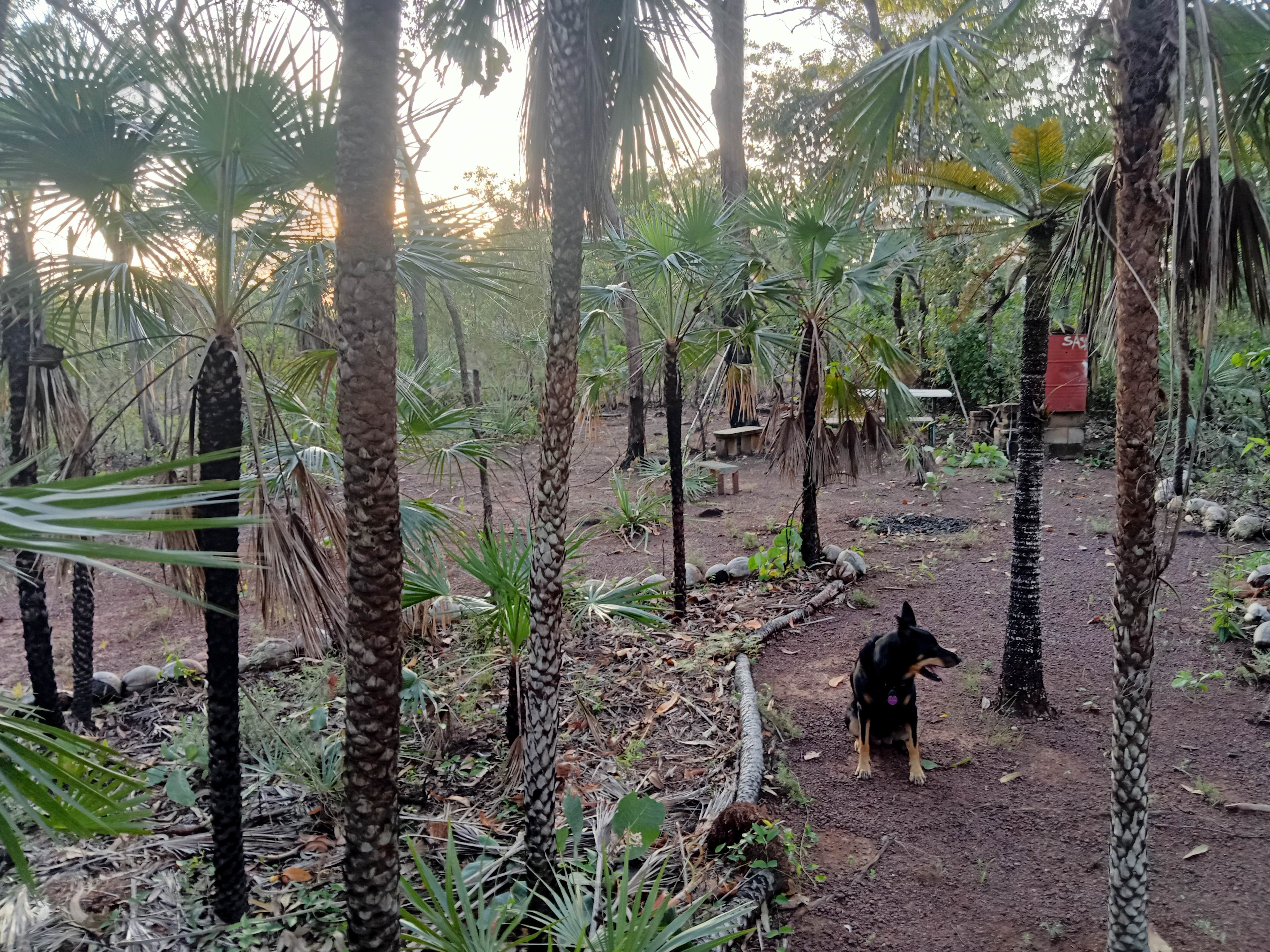 DUNDEE FOREST ECHO RETREAT