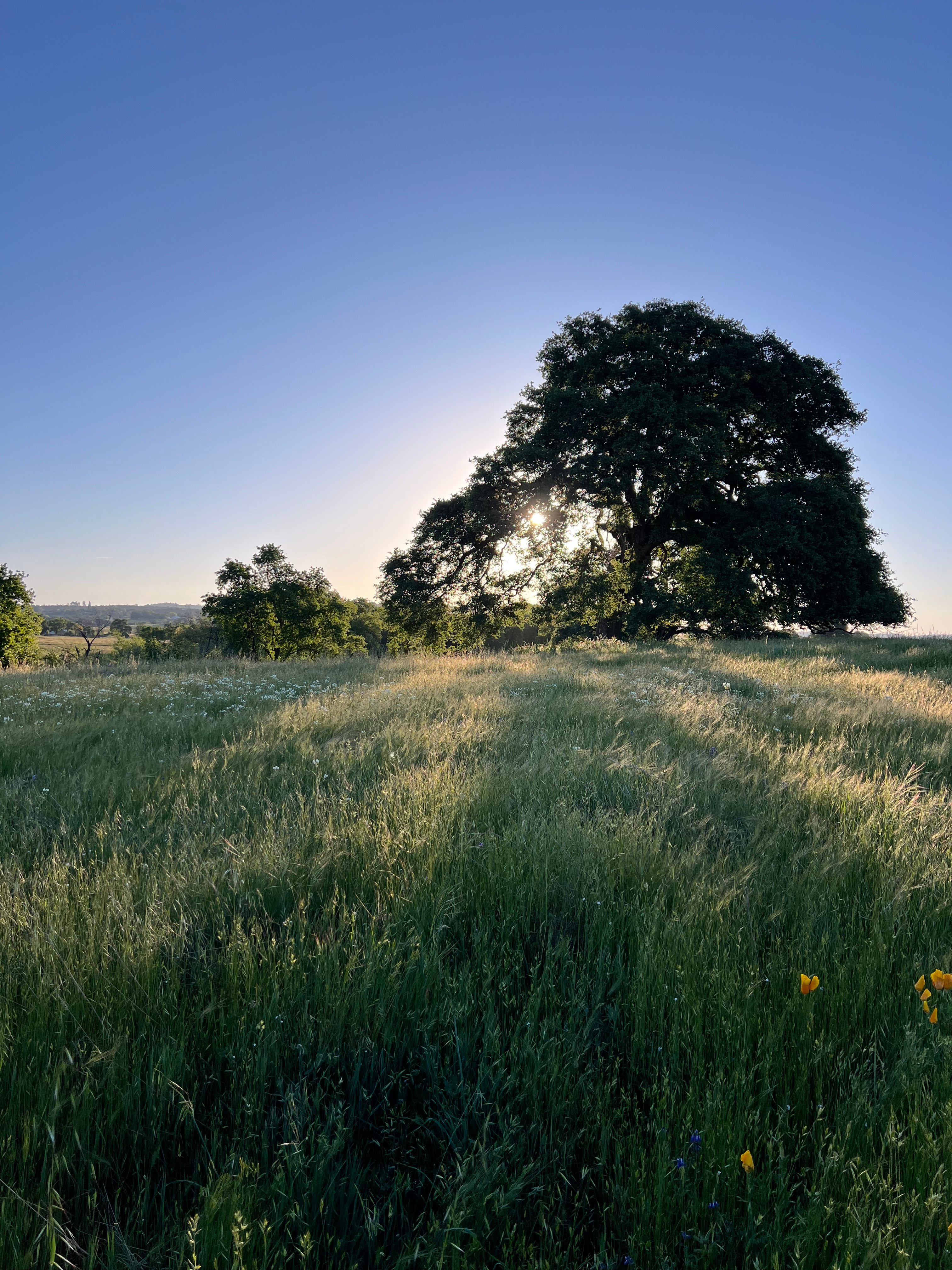 Beals Point Campground