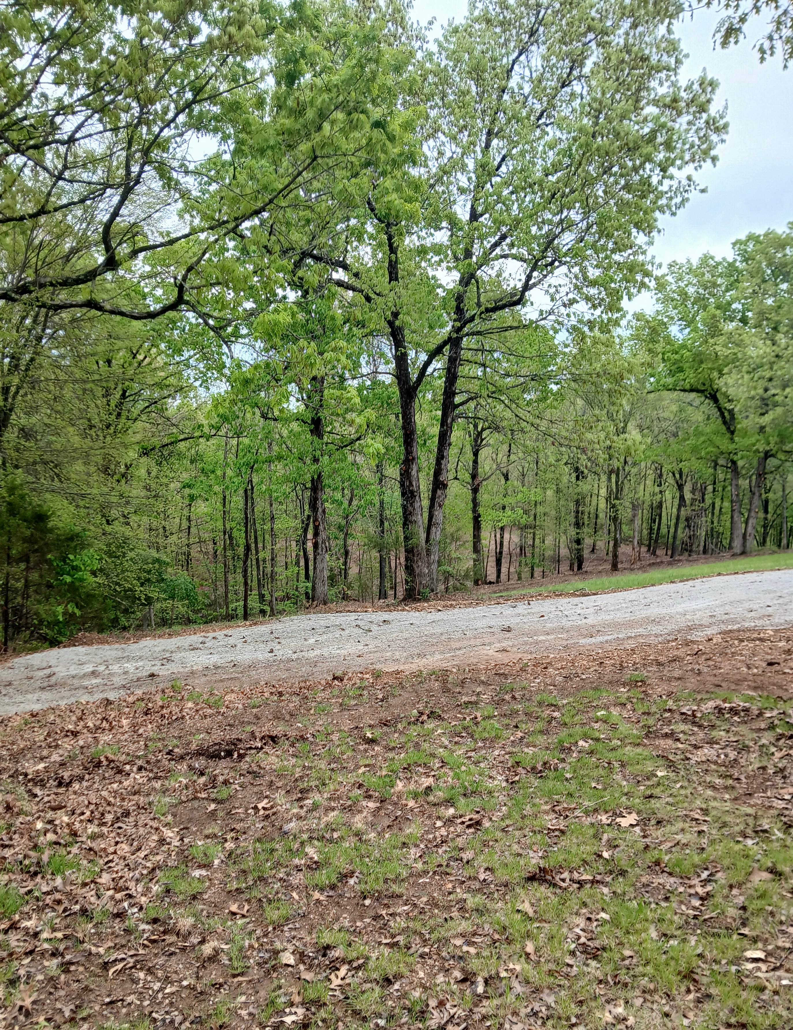 Wild Oaks Campground