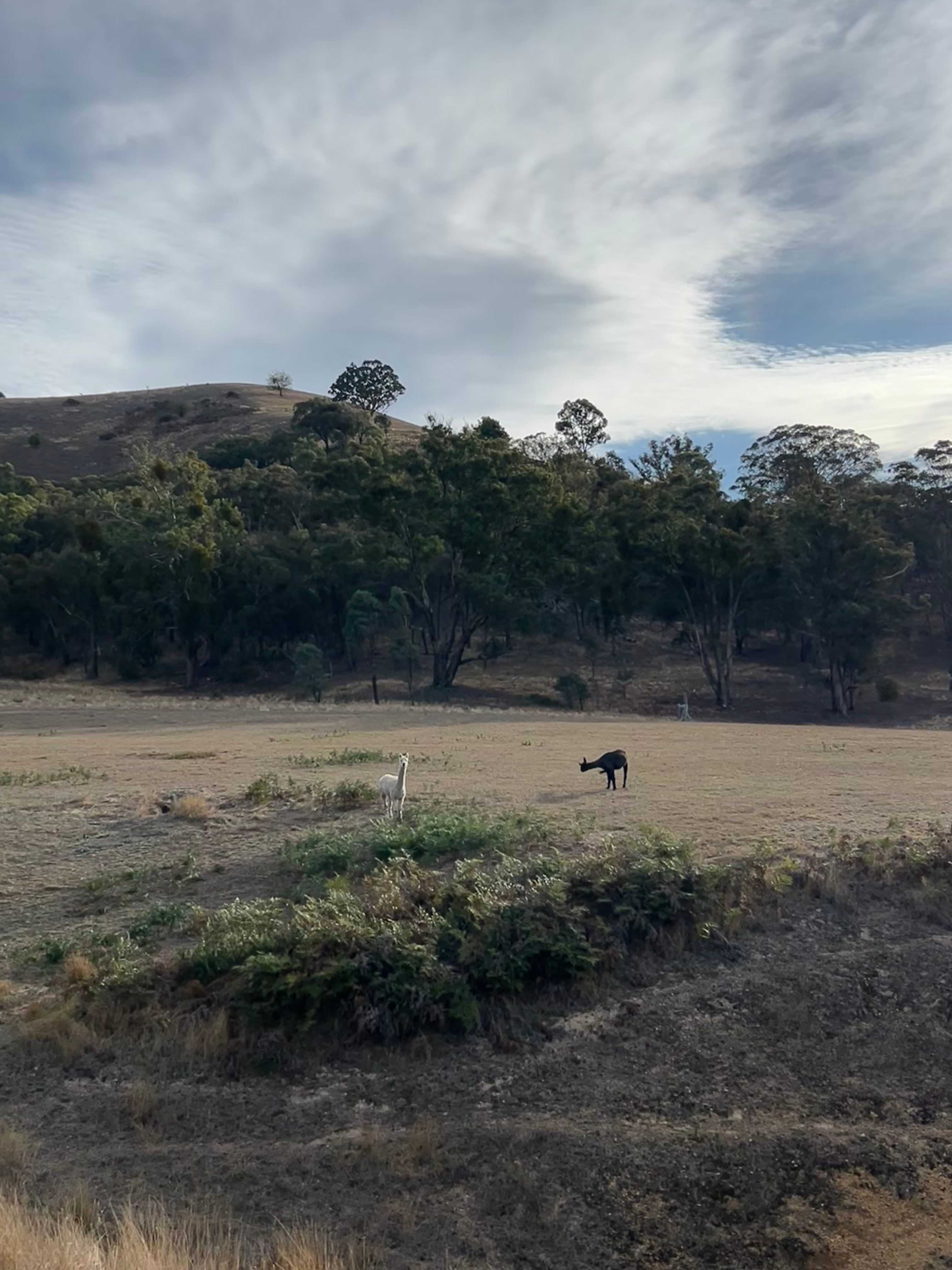 The Village Green & Pavilion