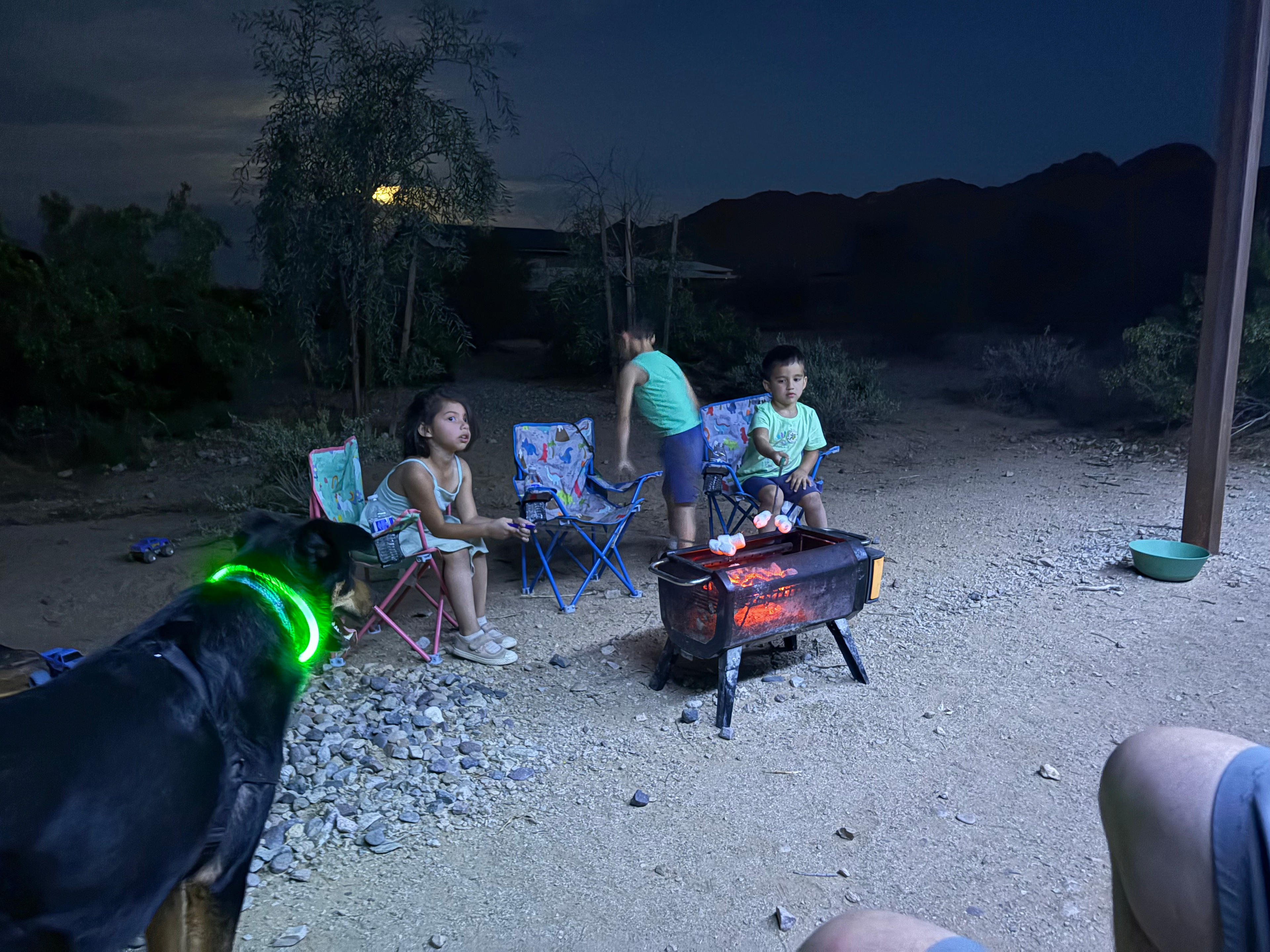 That is a fully inclosed BBQ