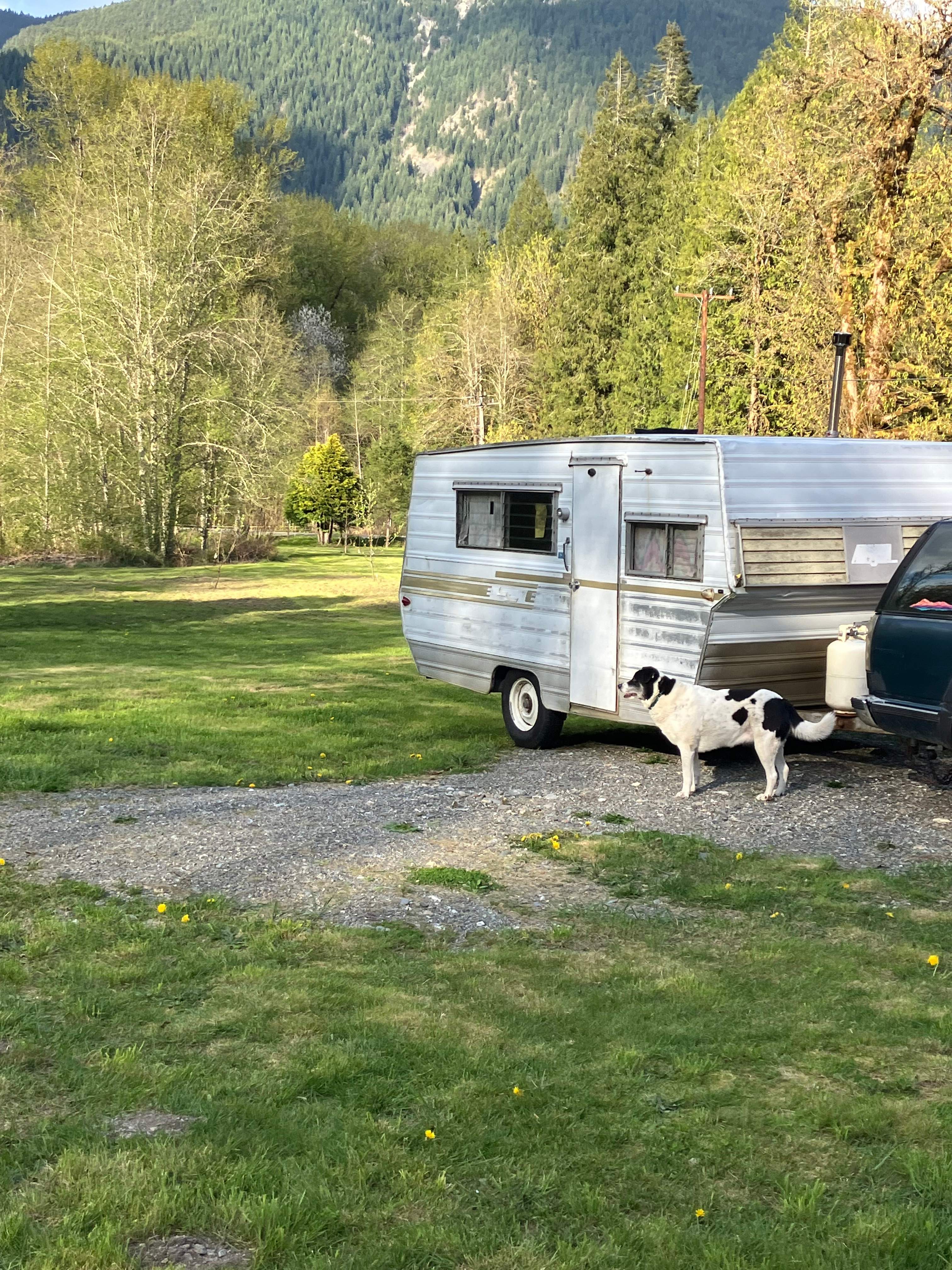 Twin Cedars Cascadia