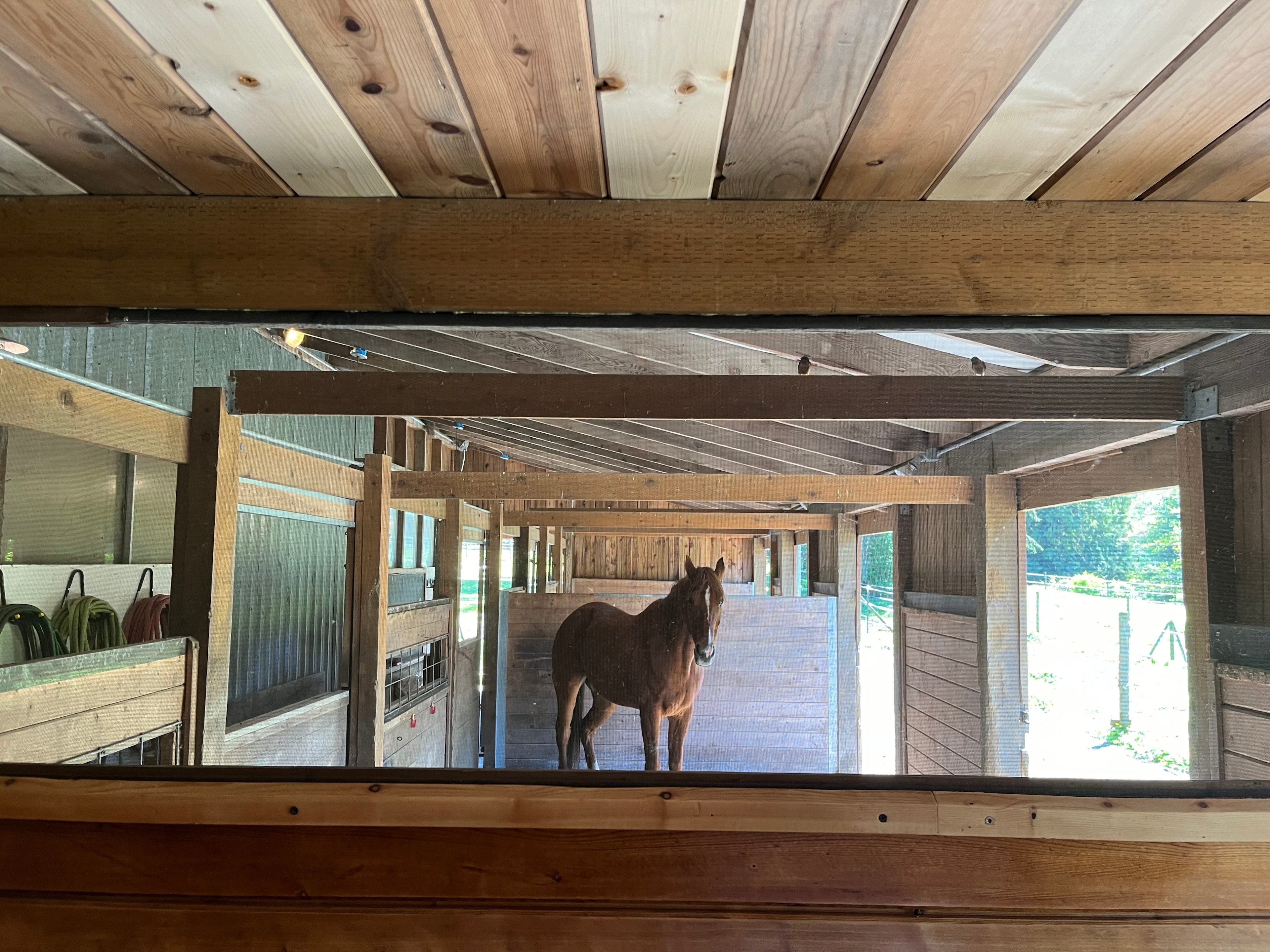 The Bunky in The Barn