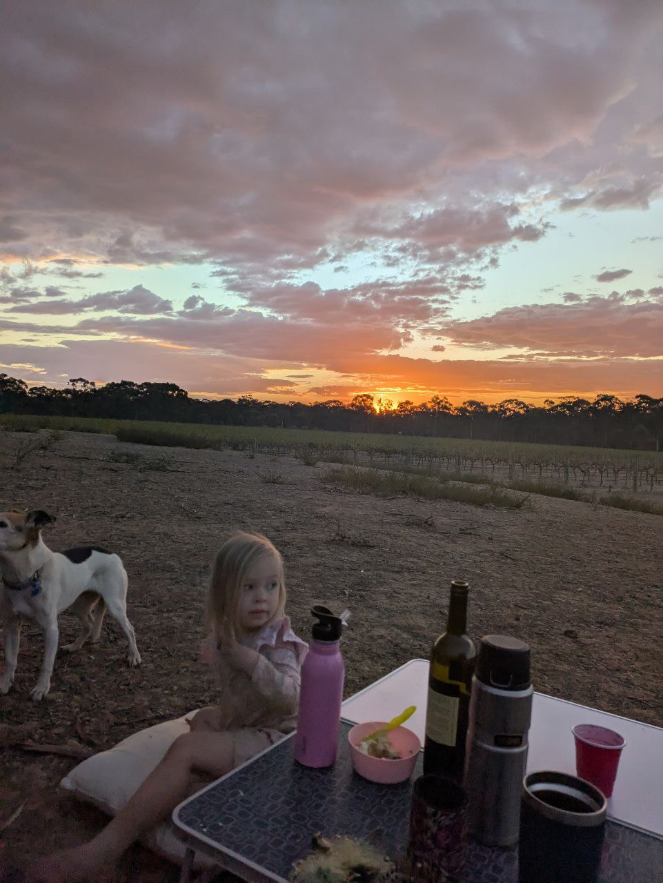 Sandhurst Ridge Vineyard